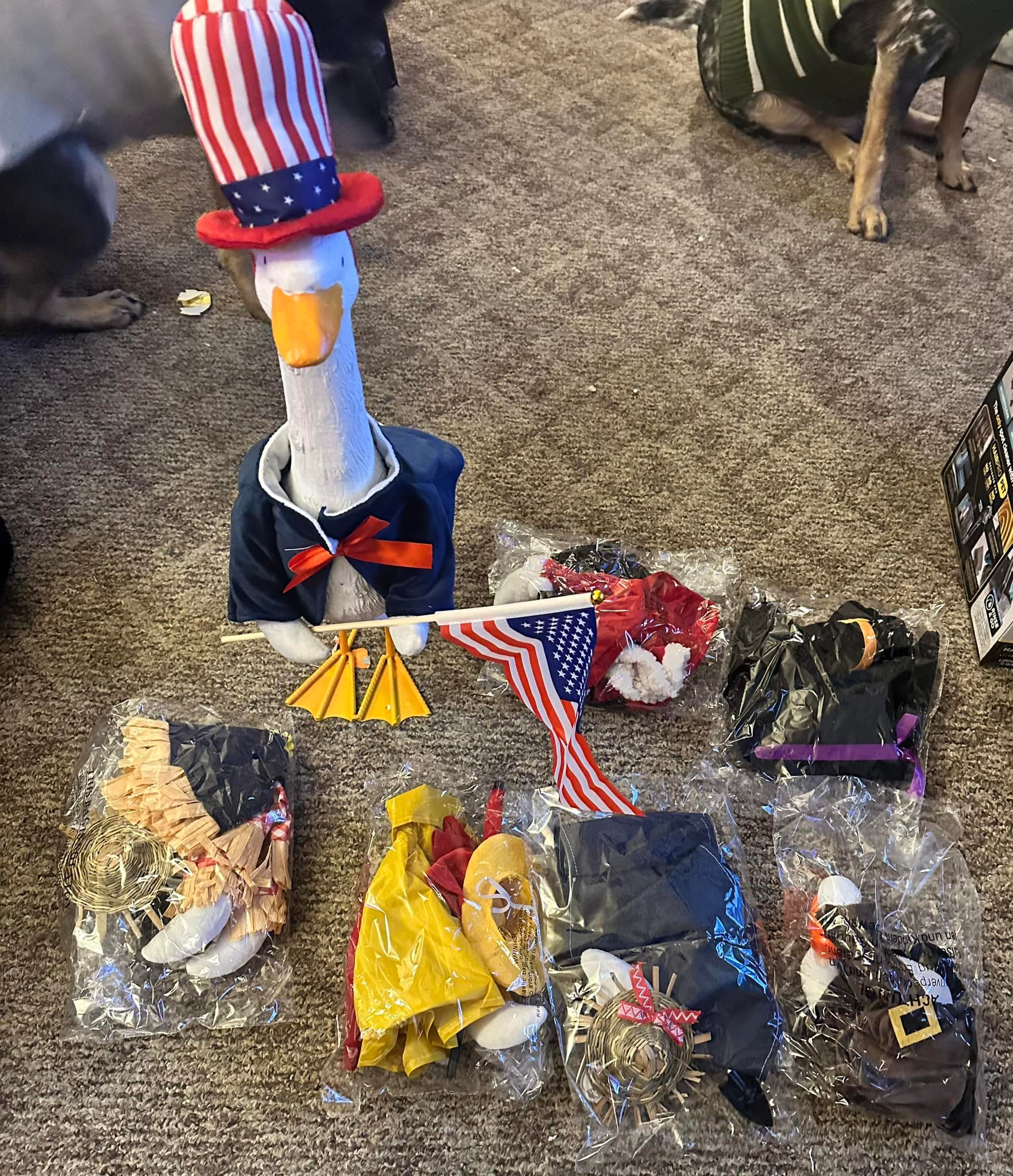 The Porch Goose Club of America | Got my porch goose at my local rural ...