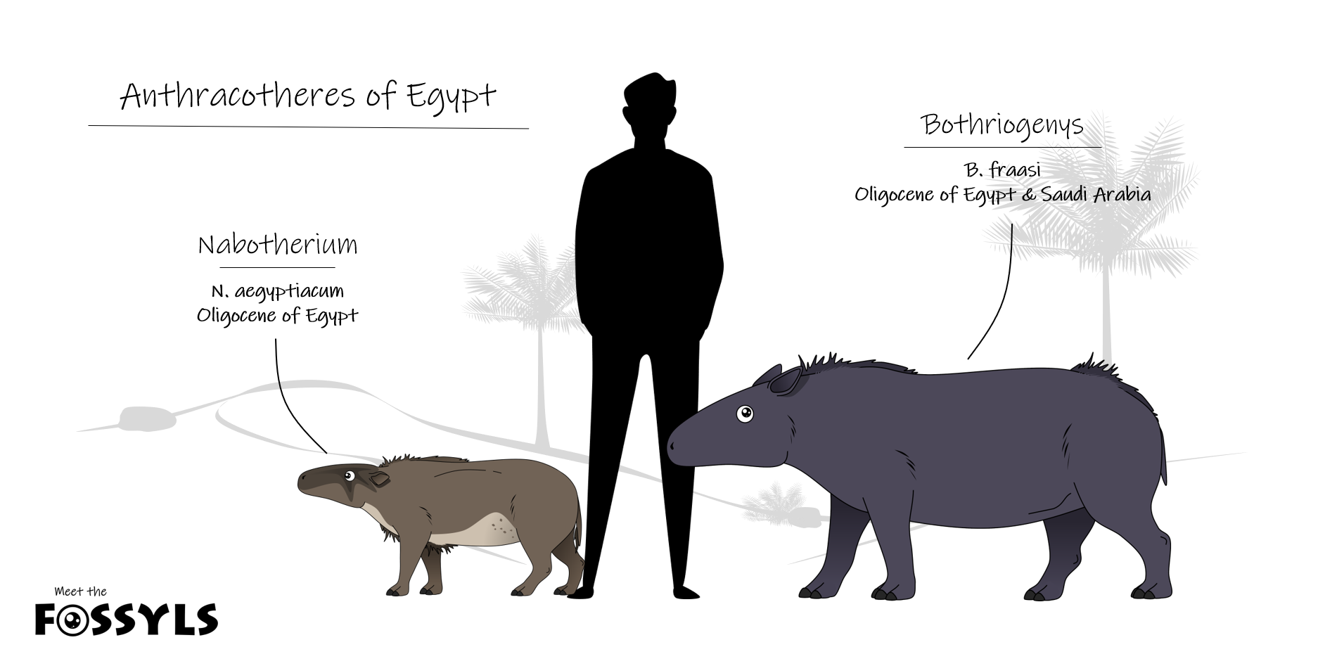 Meet Nabotherium* and Bothriogenys**,... - Meet the Fossyls | Facebook