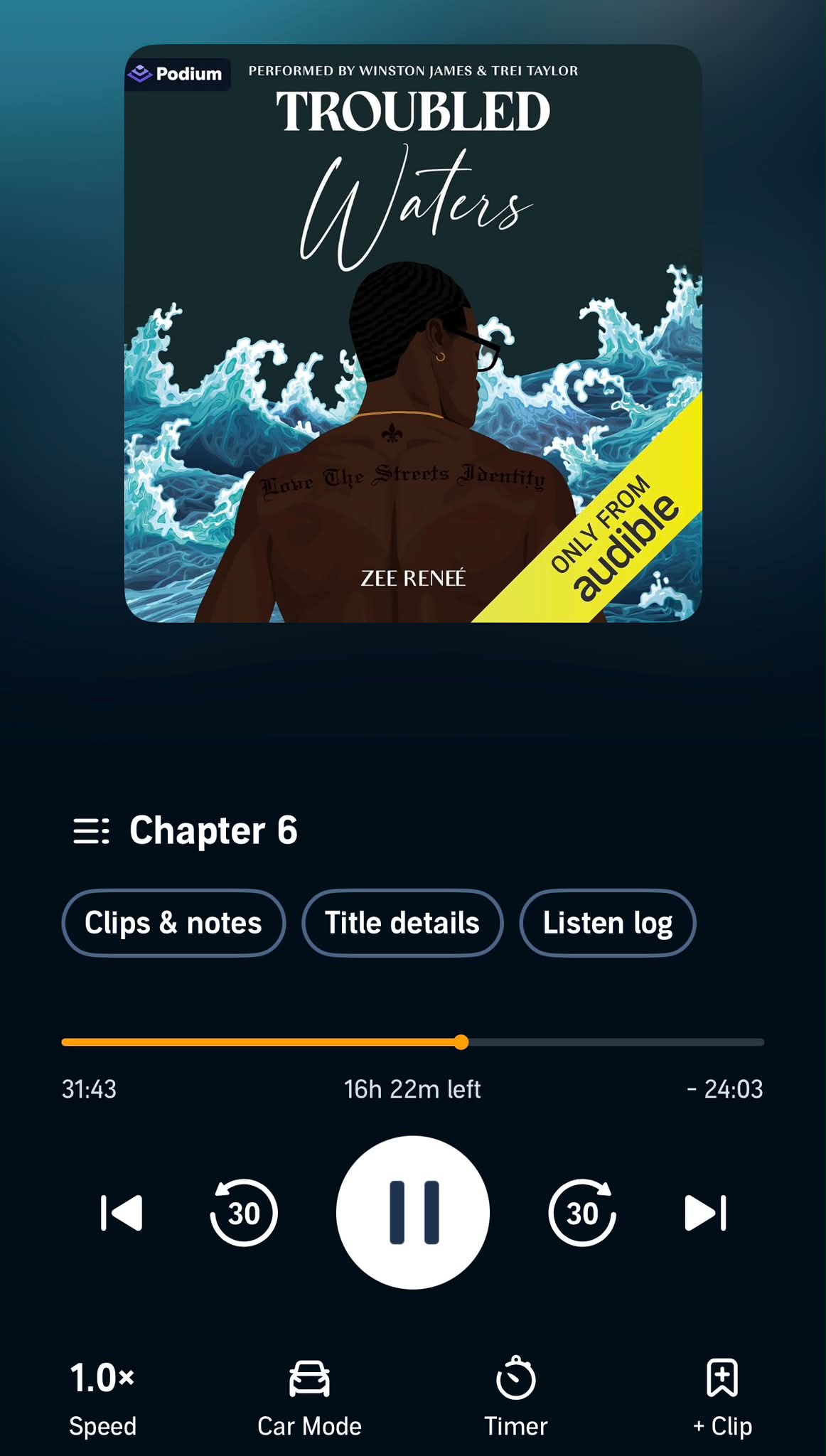 Troubled Waters by Winston James audiobook review