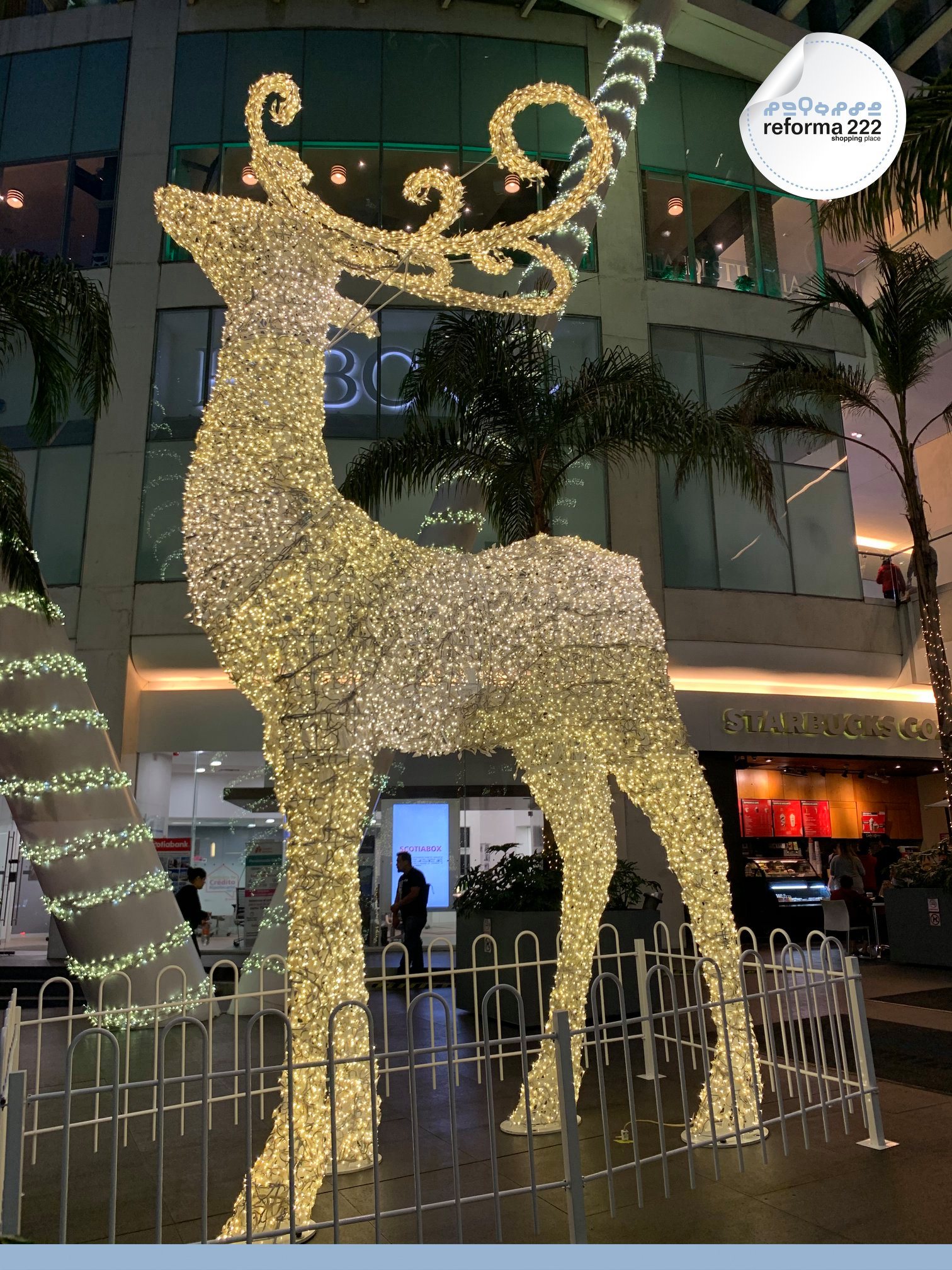 Reforma 222 - ¡Así se ve nuestro reno #favorito de #noche! 🤩 #Navidad # ...