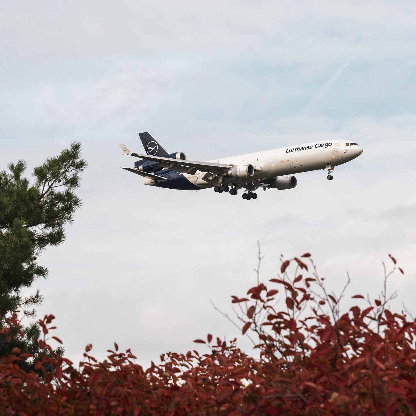 1:200 Lufthansa Cargo MD-11F Farewell