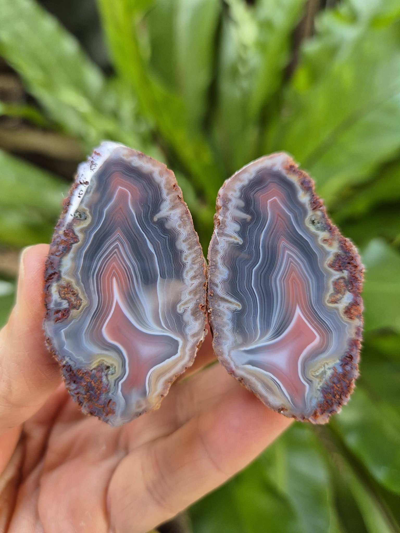 Australian Agate Collectors | Facebook