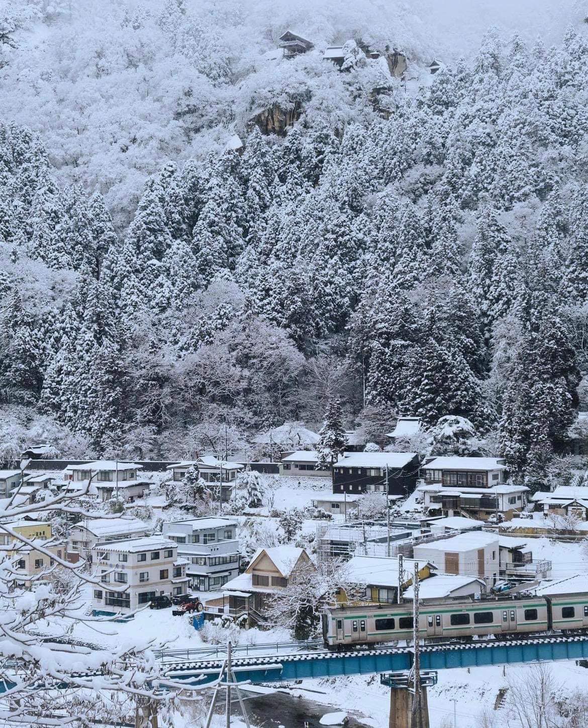 日本雪景