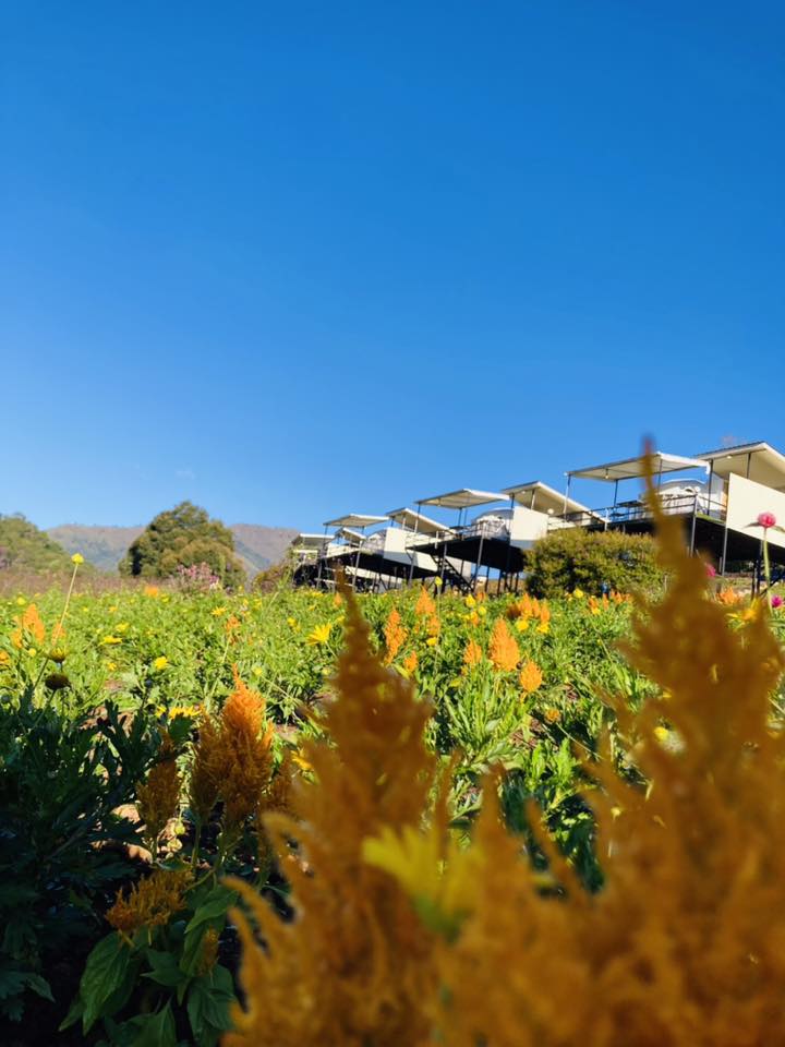 สวนไร่รุ่งอรุณ Suan Rai Rungarun | Mae Hong Son