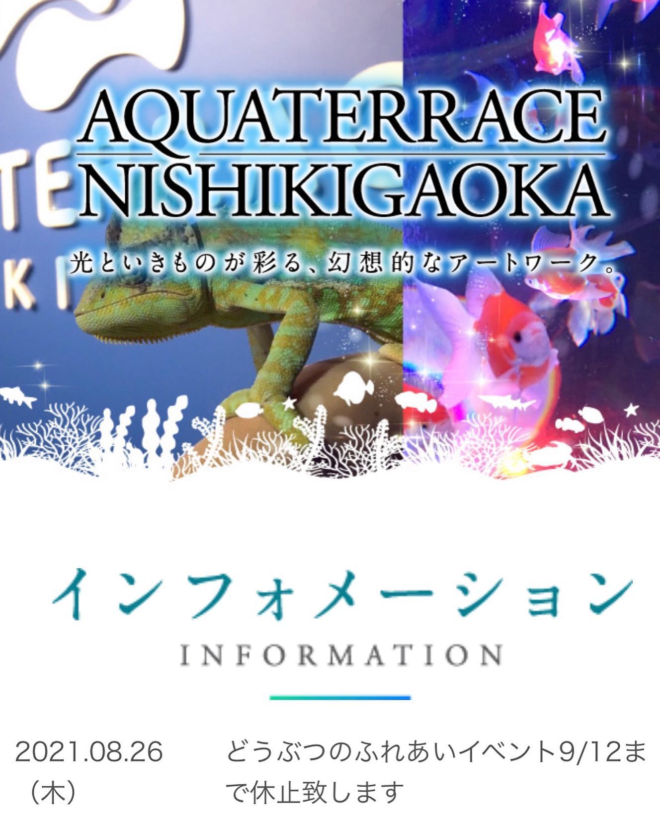 アクアテラス錦ケ丘 ふれあいイベント中止のお知らせ 本日8 27 金 より宮城県の緊急事態宣言発出に伴い 土日祝日限定で開催しております動物の ふれあいイベントを9 12 日 まで中止させて頂きます 何卒ご理解賜りますようにお願い申し上げます アクアテラス