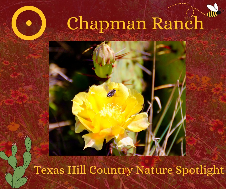 Chapman Ranch | Sabinal TX