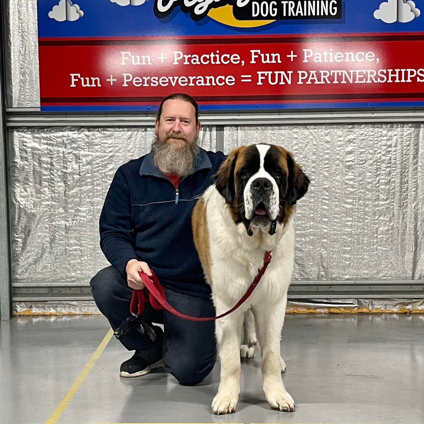 🌟 Meet Rolly 🌟 Rolly is a 11... - Flying Paws Dog Training | Facebook