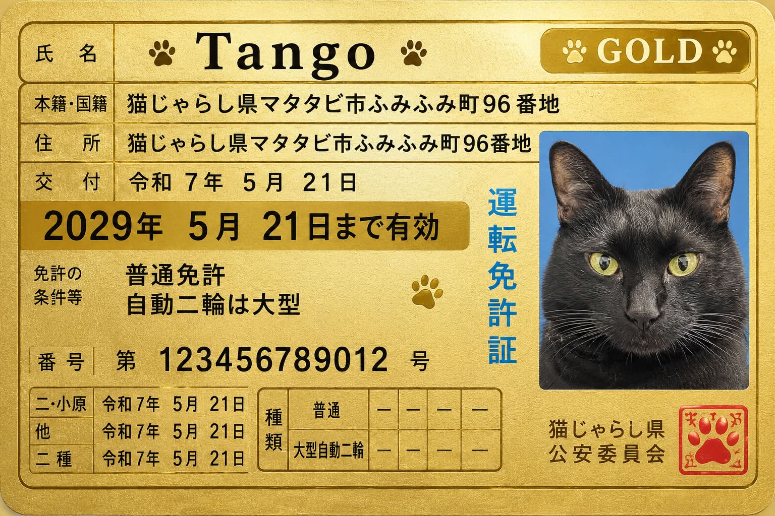 黒猫がクロネコヤマトで台車で荷物を運ぶ画像