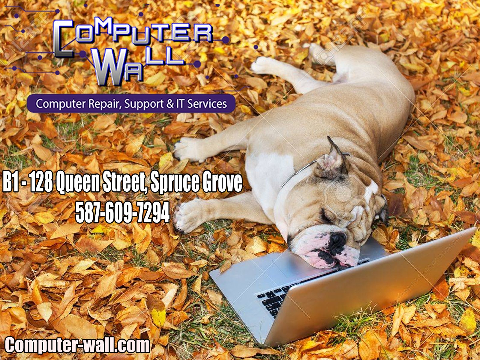 Computer Wall - 🍂🍁 Welcome Autumn with Computer Wall! 🍁🍂...