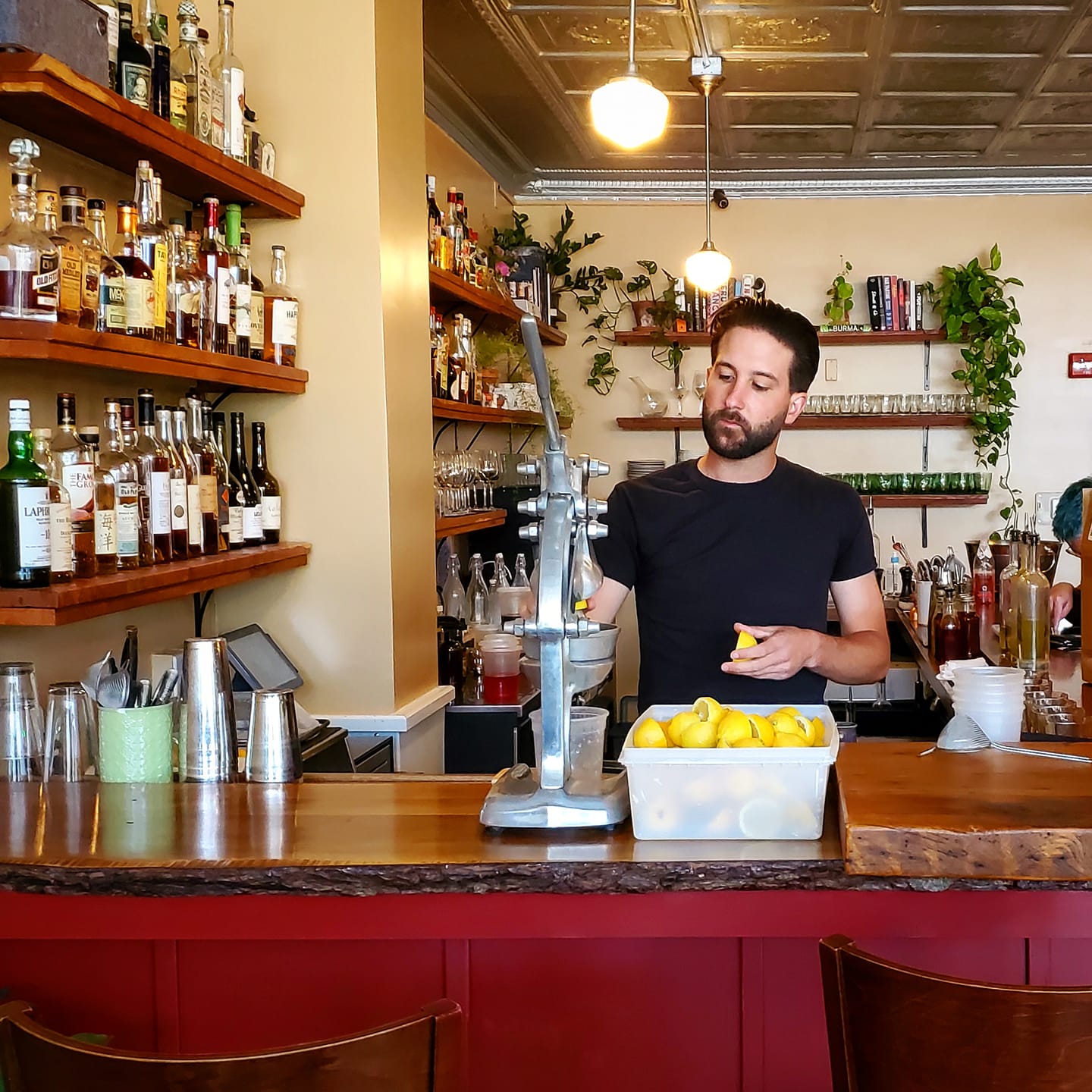 The Dapper Goose | Buffalo NY