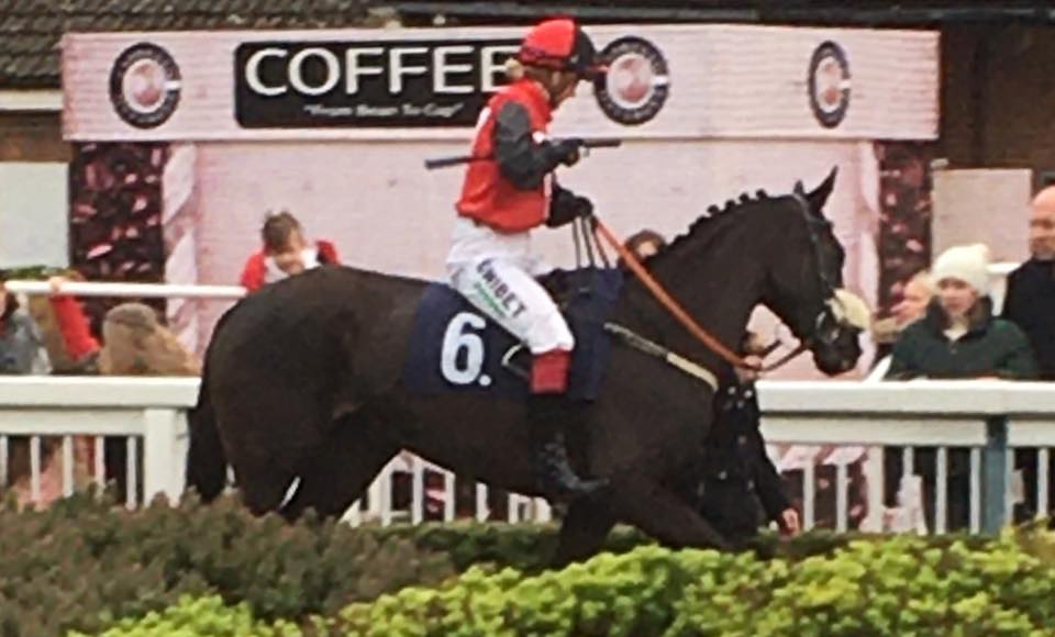 Disappointing run from ‘Hit The Beat’... - Mark Hoad Racing