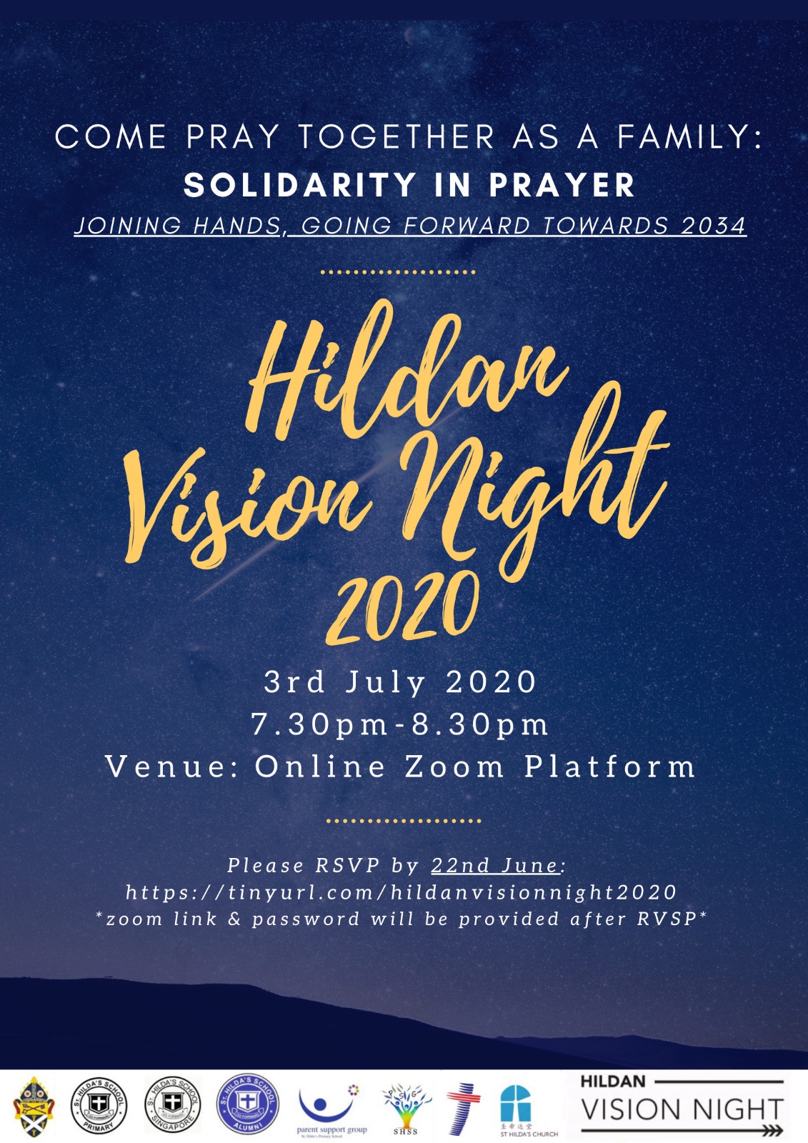 Hildan Vision Night