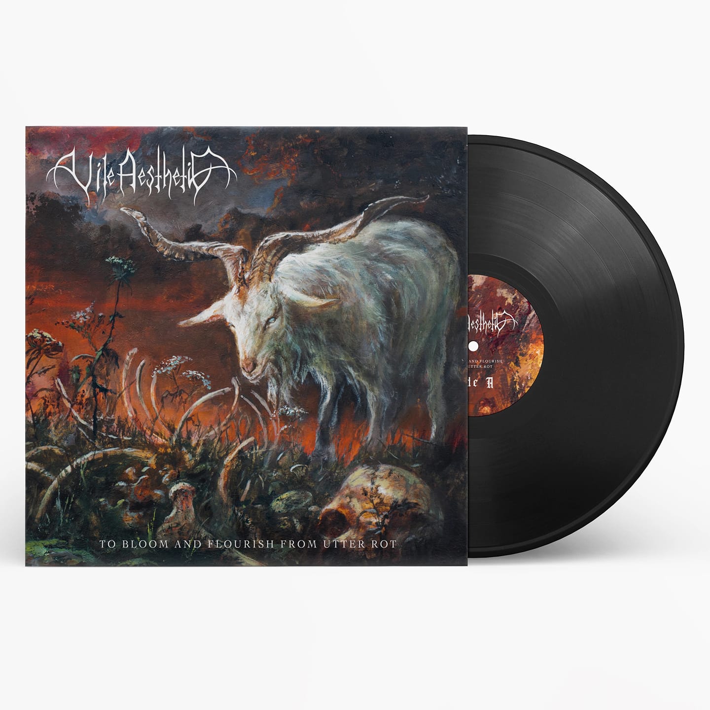 INK WARUNTORN : bloom.EP CD & LP available now (11/9)