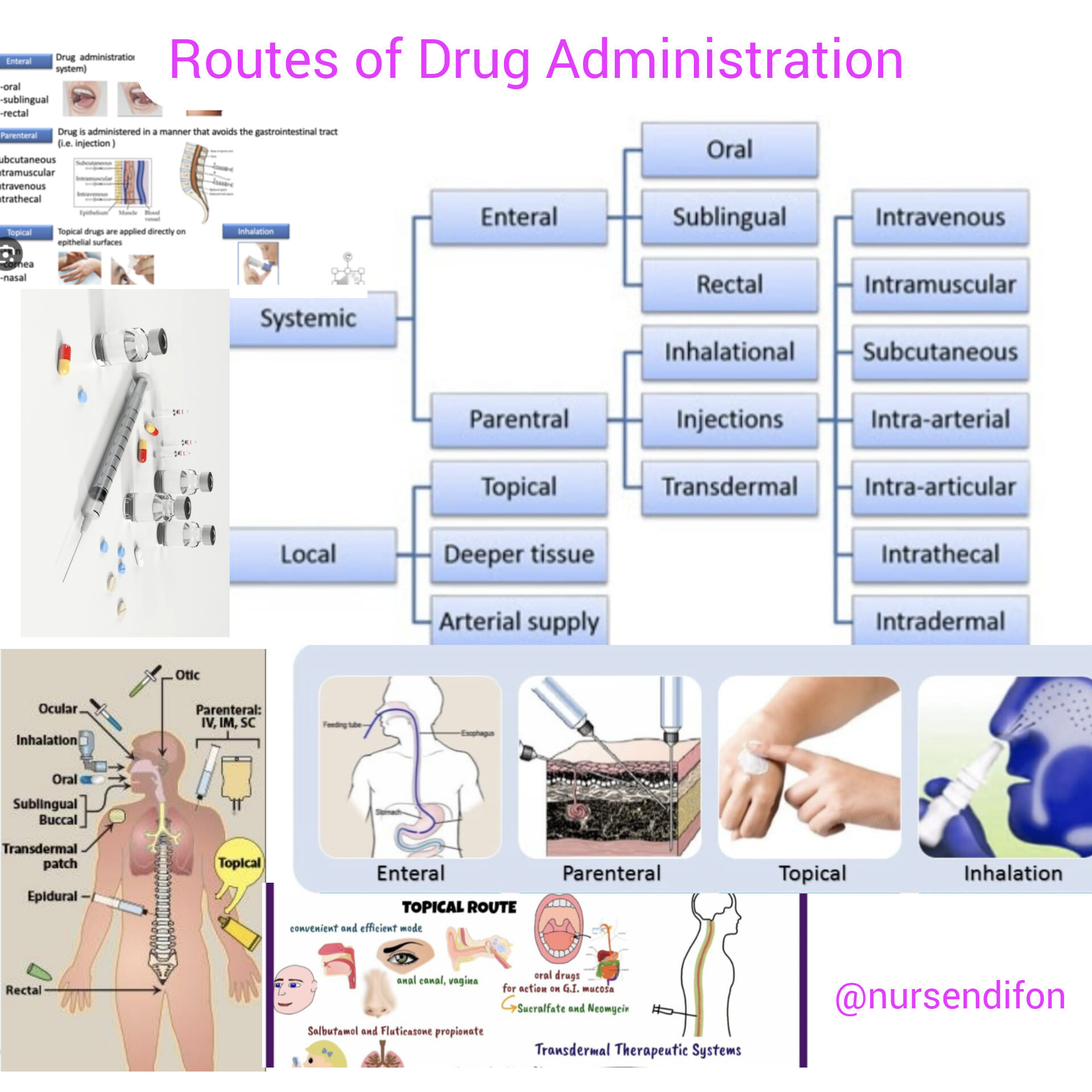 ipamorelin routes of administration Medication Made Simple 🩺 From oral to intrathecal, every route drug administration has its purpose and precision. Nurses, mastering these ensures safety, accuracy, and better patient outcomes. fellownurses.com BPC/TB VIAL Size:Deluxe Sample Relumins Advanced White Oral