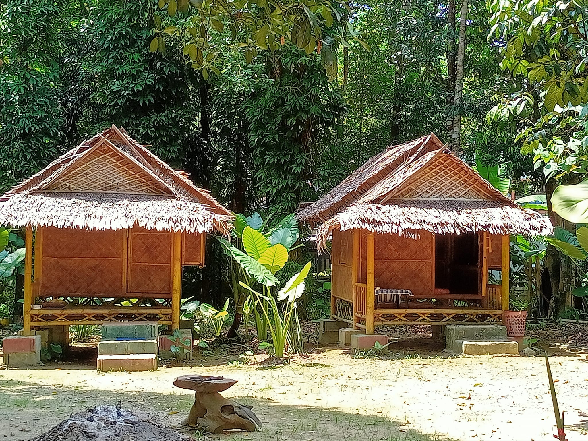 Khai Jungle Experience Tour