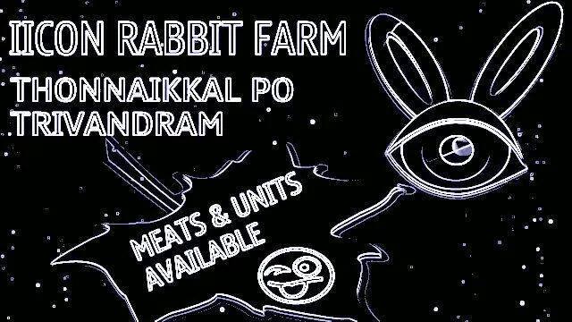 Icon Rabbit Farm | Thiruvananthapuram