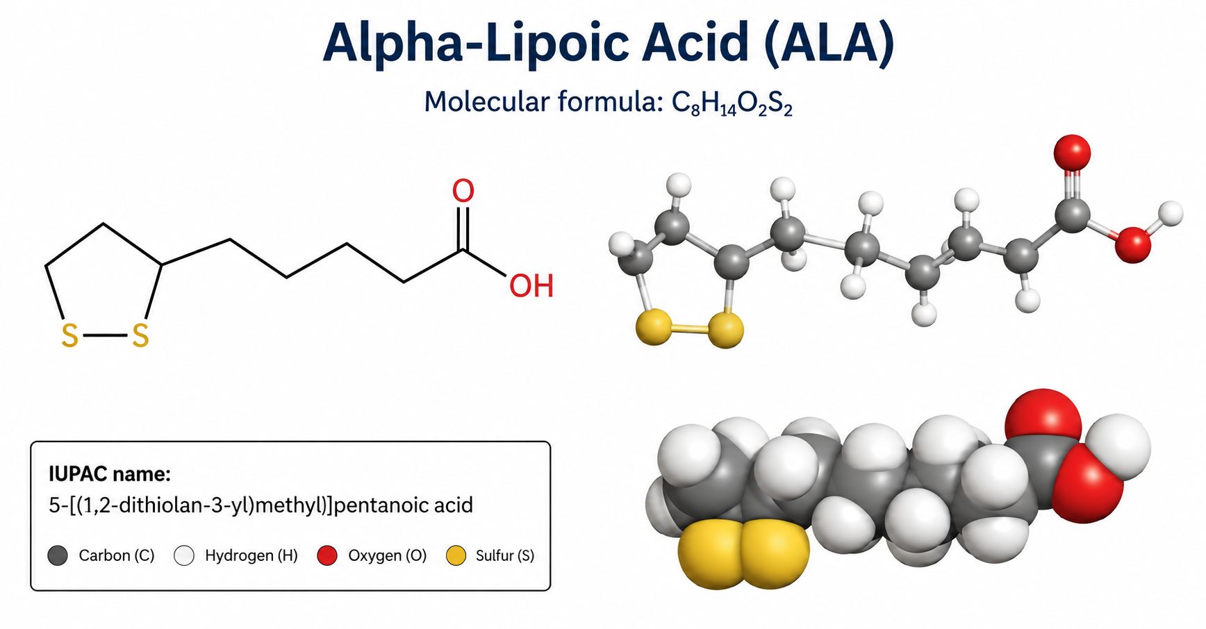 The Role of Alpha-Lipoic Acid in Blood Sugar and Metabolic Health