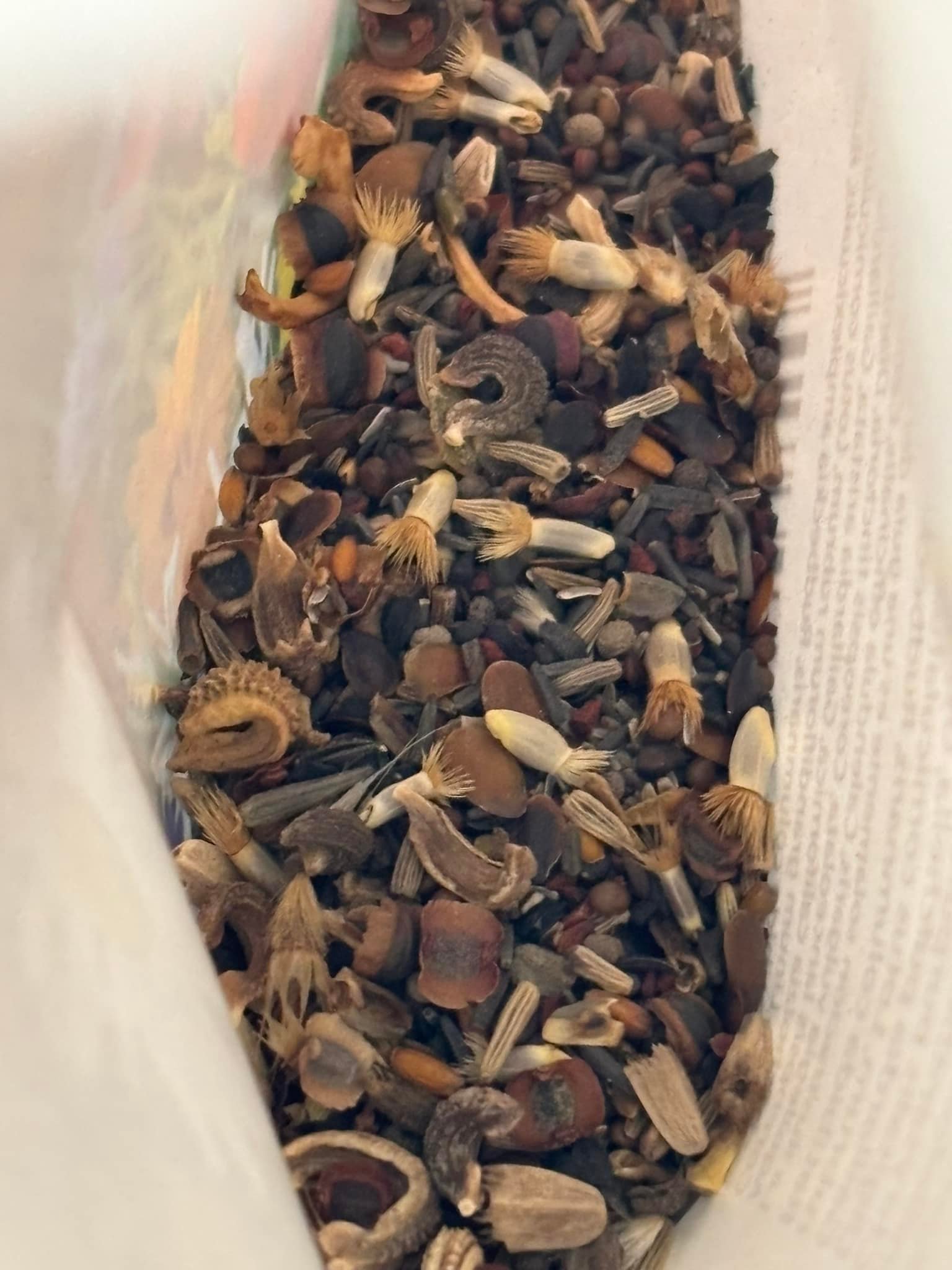 Is everything in a bag a seed?