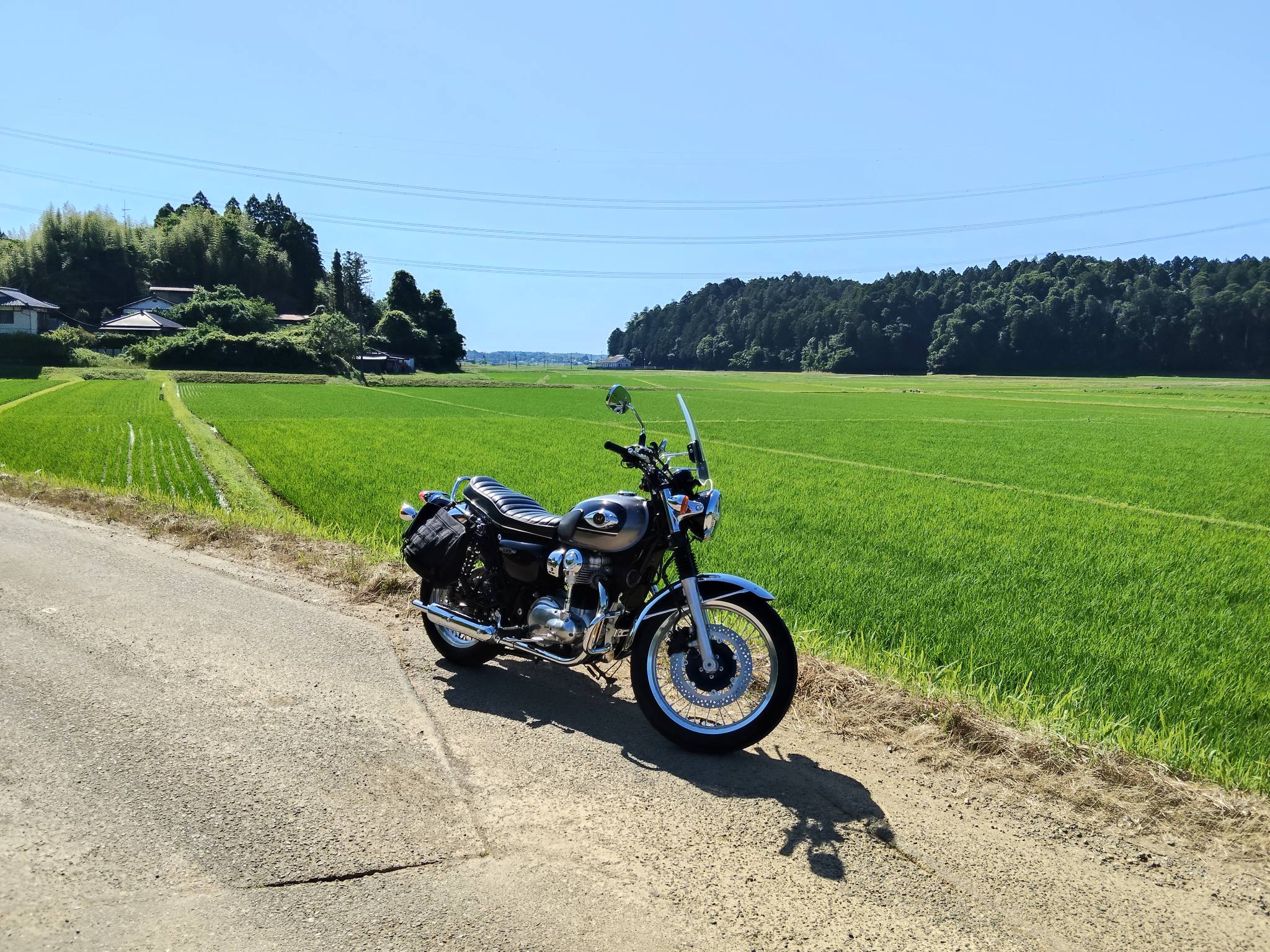 エストレヤ w1シート カワサキ Kawasaki エストレヤRS シート 53066 