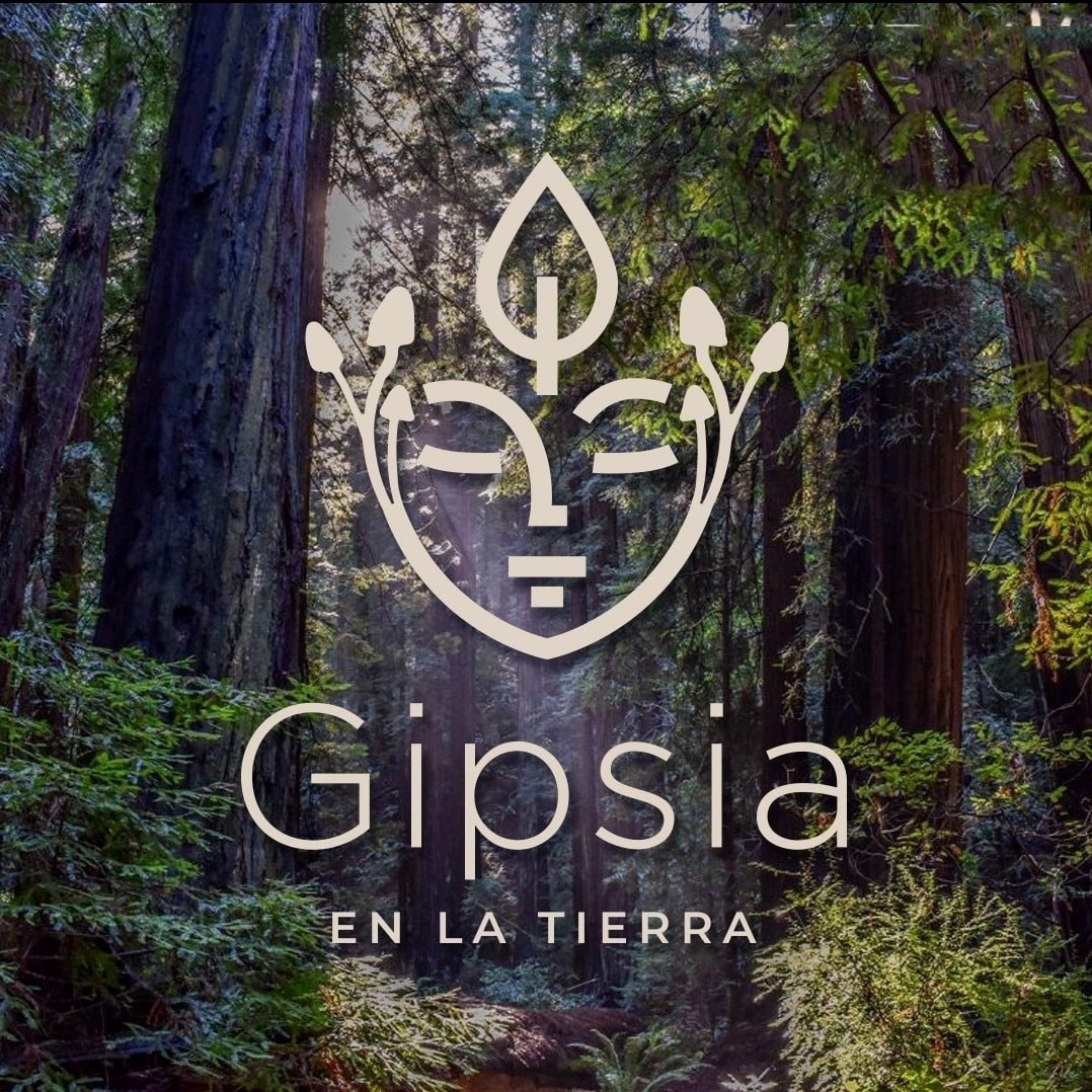 gipsia_enlatierra