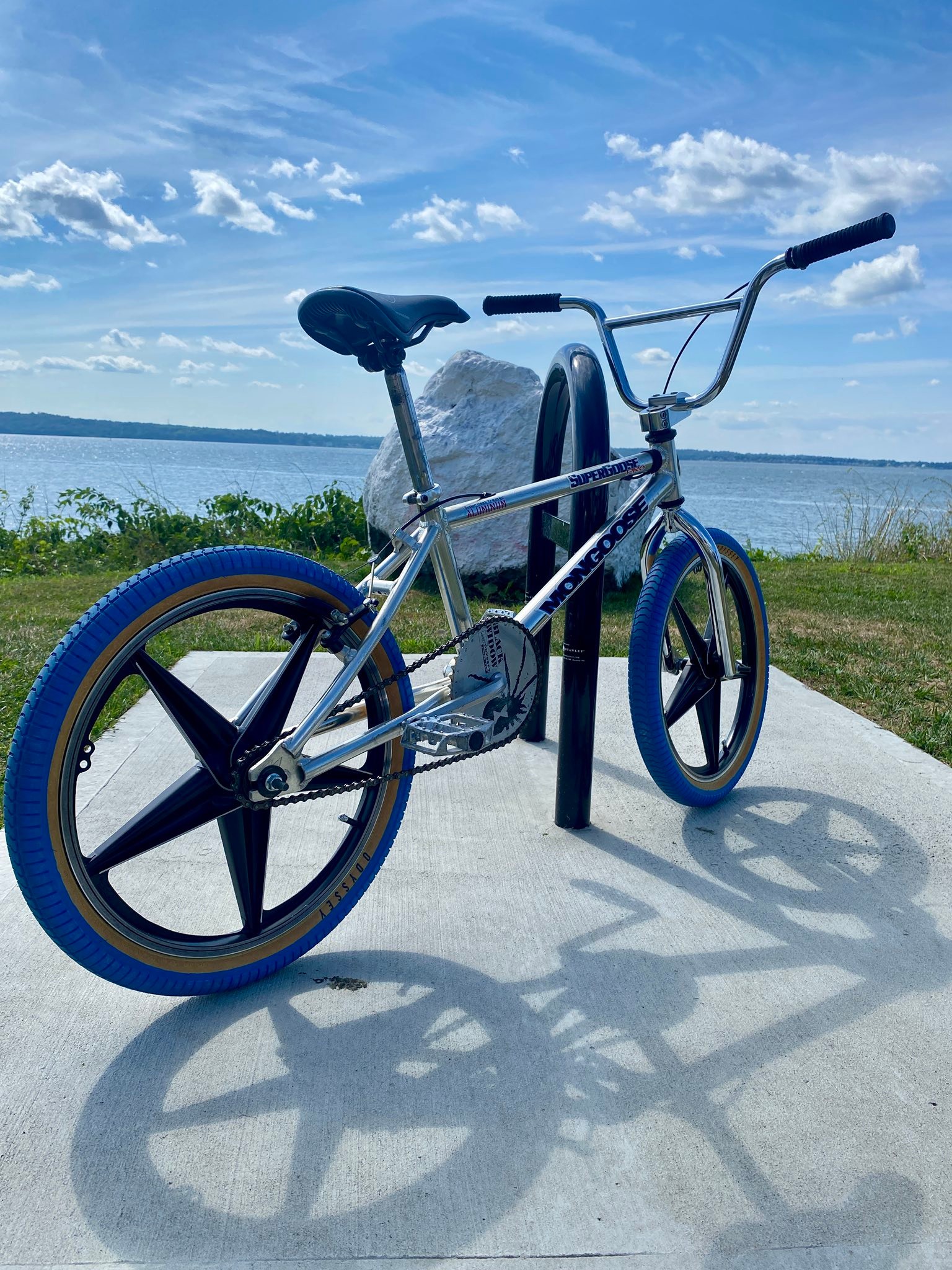 Bike is worth the post 97 mongoose super goose all aluminum bike ?