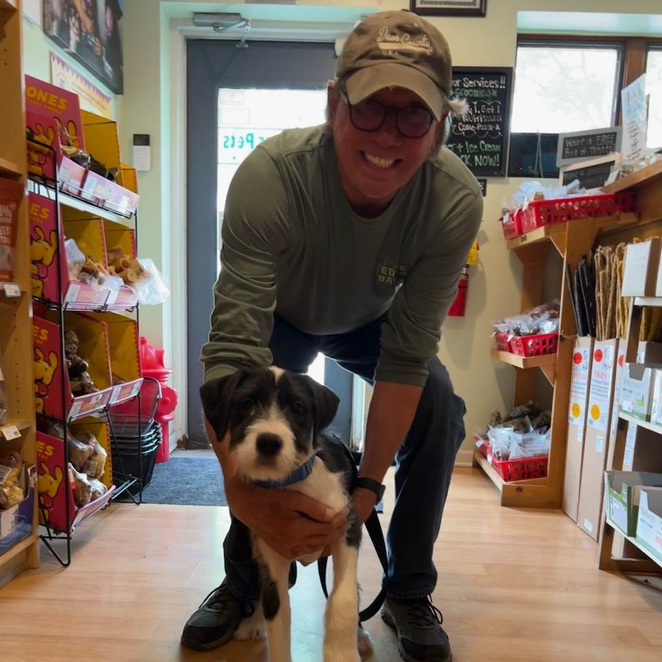 Yesterday was a... - Project Hope Animal Rescue Foundation