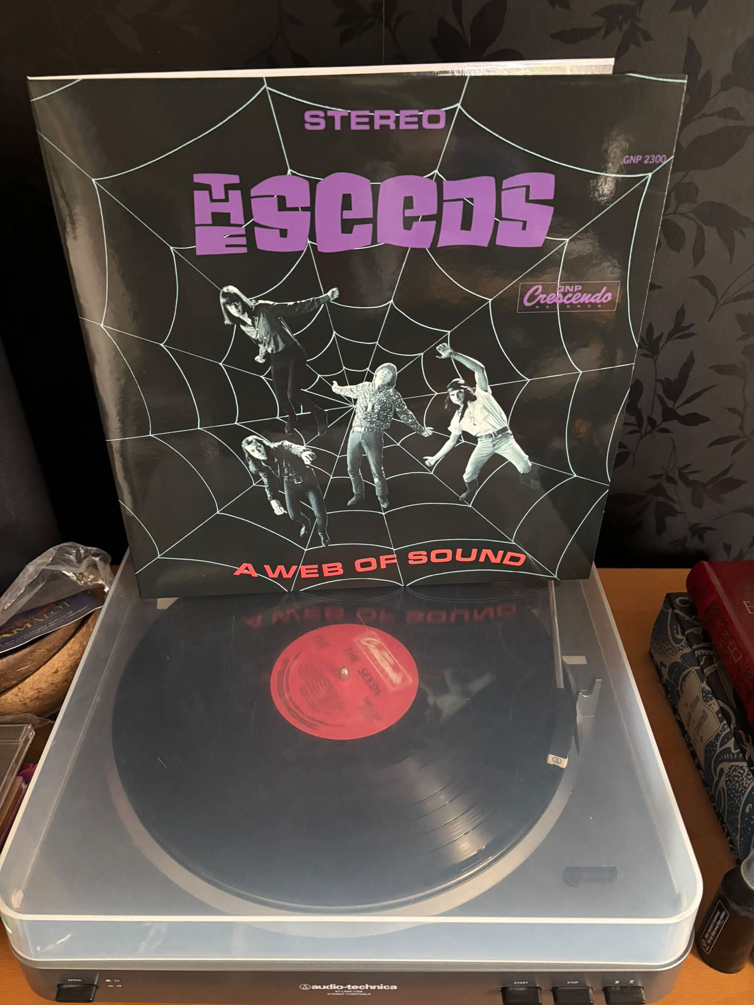The Seeds “A Web Of Sound”