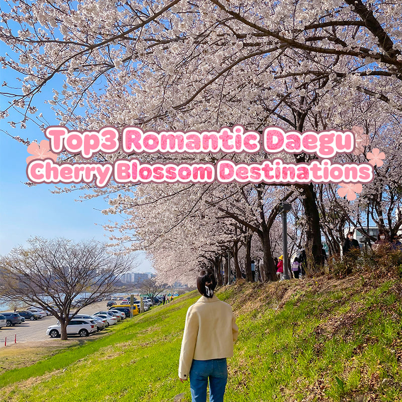 Daegu Korea - Our beloved #spring is coming… 💓 #Daegu is... | Facebook