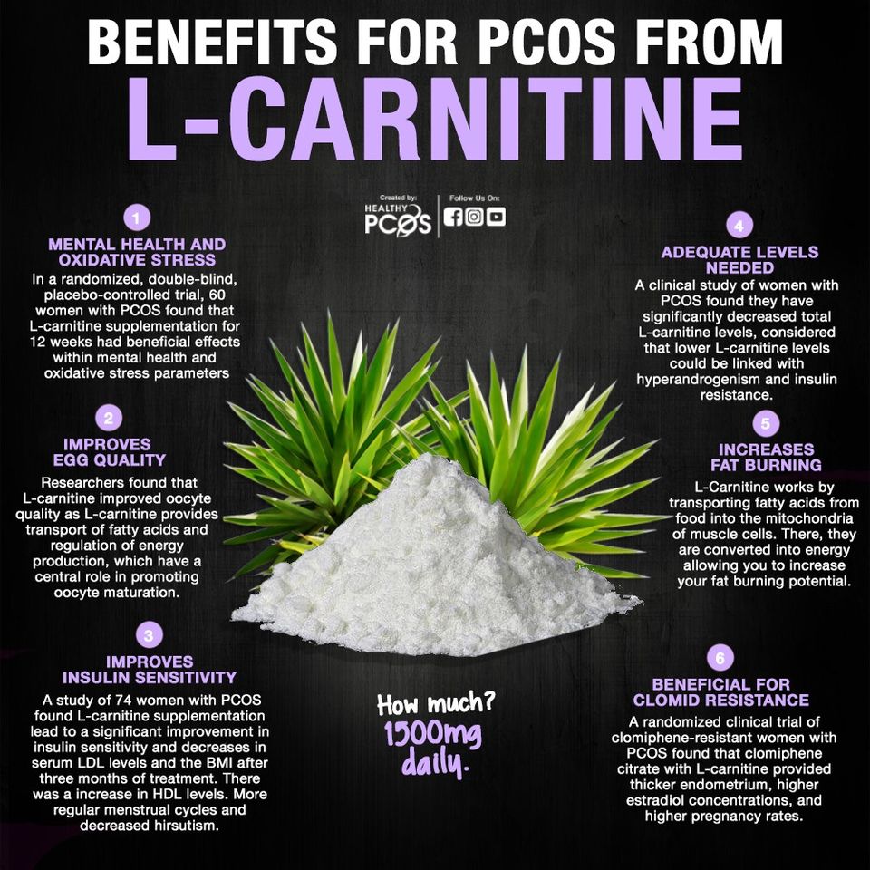 l carnitine pcos Any one with tried and was good for her? L-CARNITINE 500MG 60CAPS (QNT) Dietary Needs Color:5CN COOL WALNUT