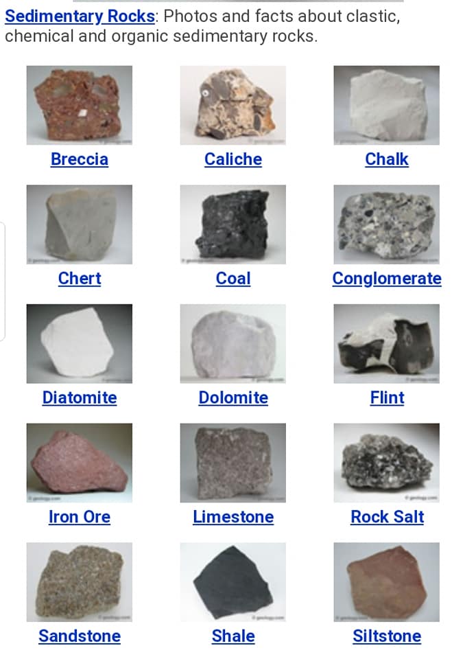 Sedimentary Rocks List
