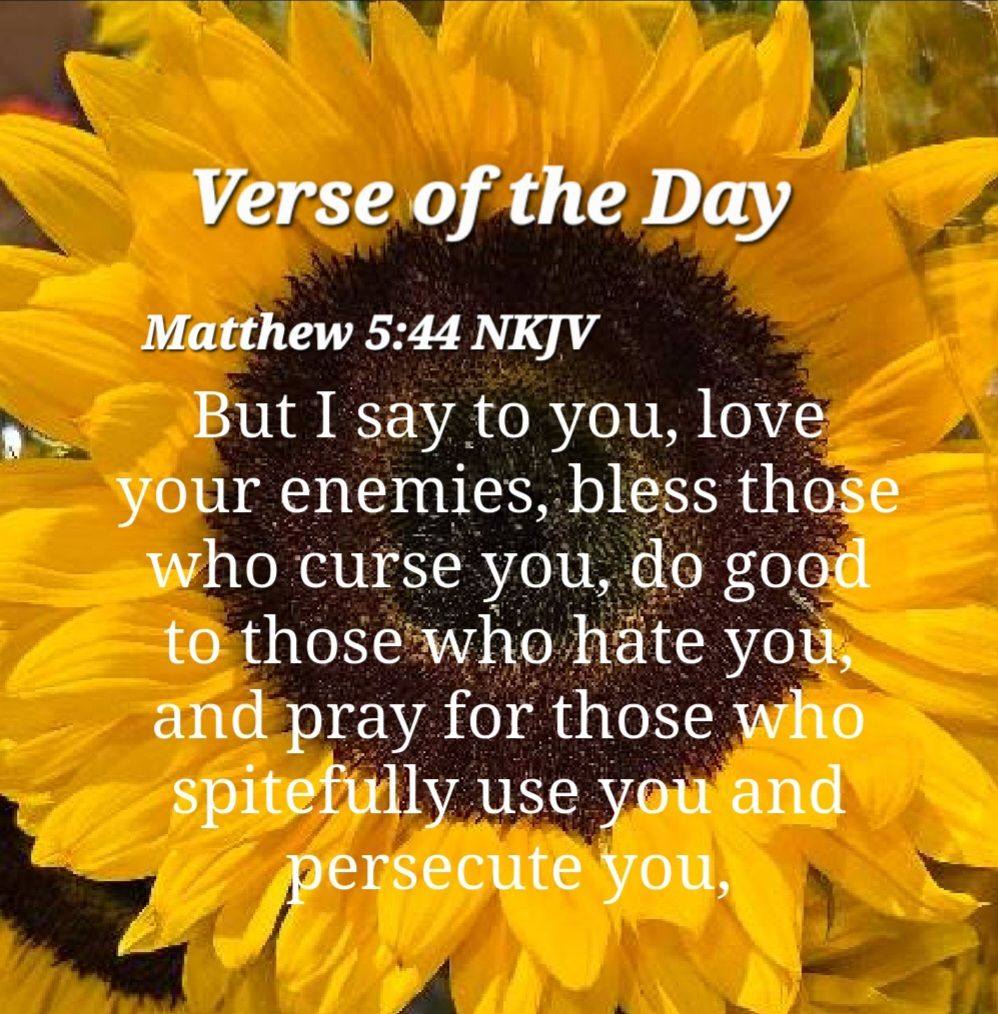 Love Your Enemies: Bible Verse Matthew 5:43-48 NKJV