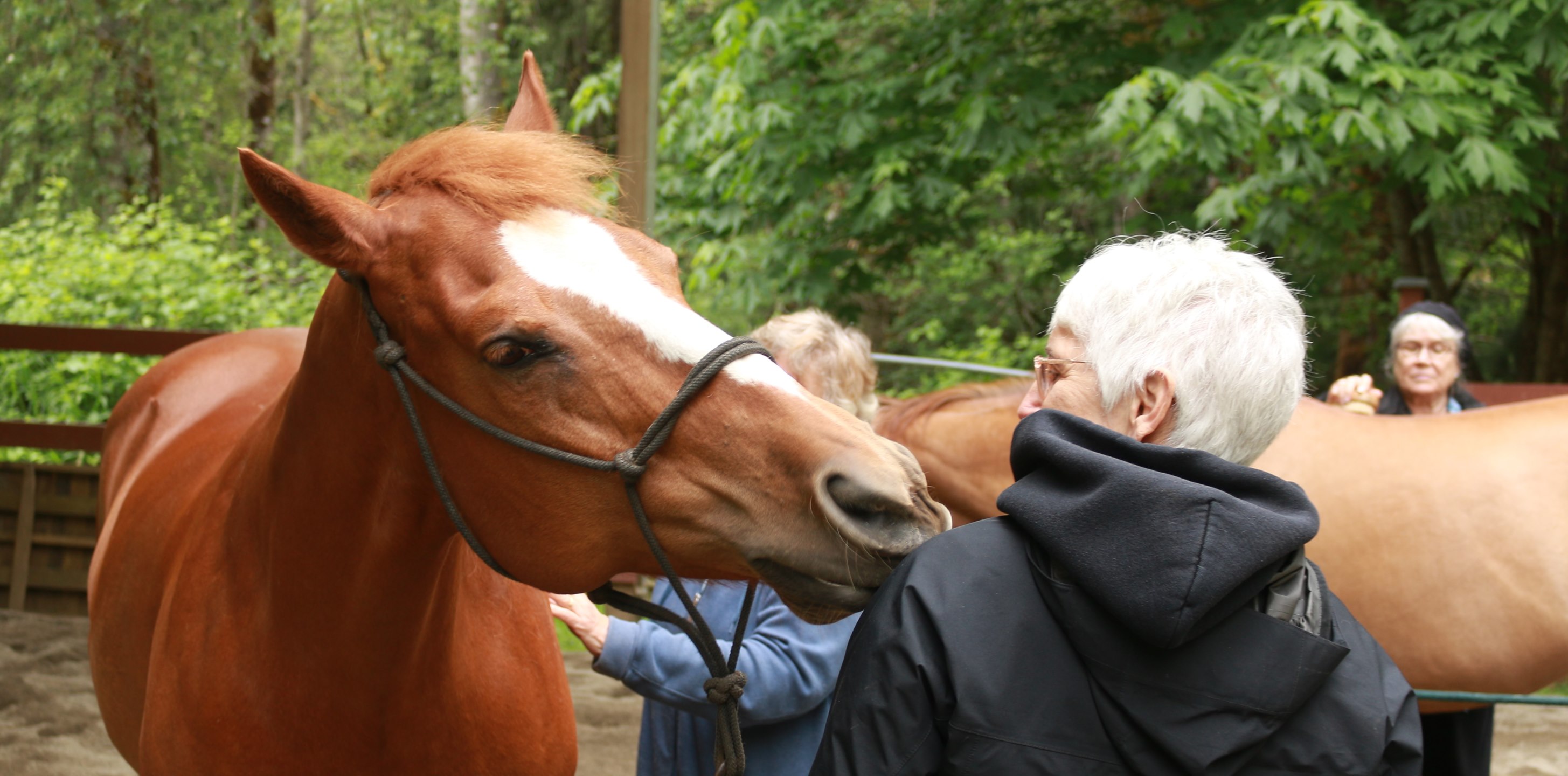 Centaur Development Wellness Ranch | Snohomish WA