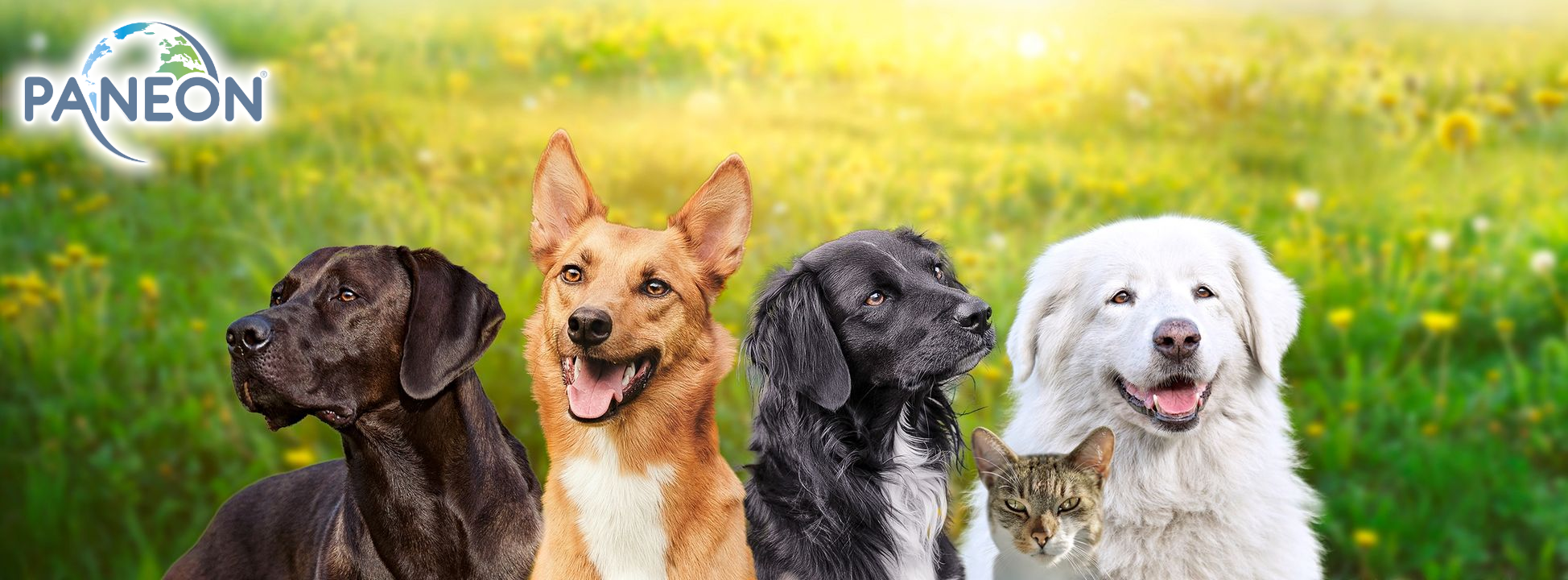 Dr.Clauder solutions for pets GmbH - “Viele, die etwas bewegen, bewegen ...