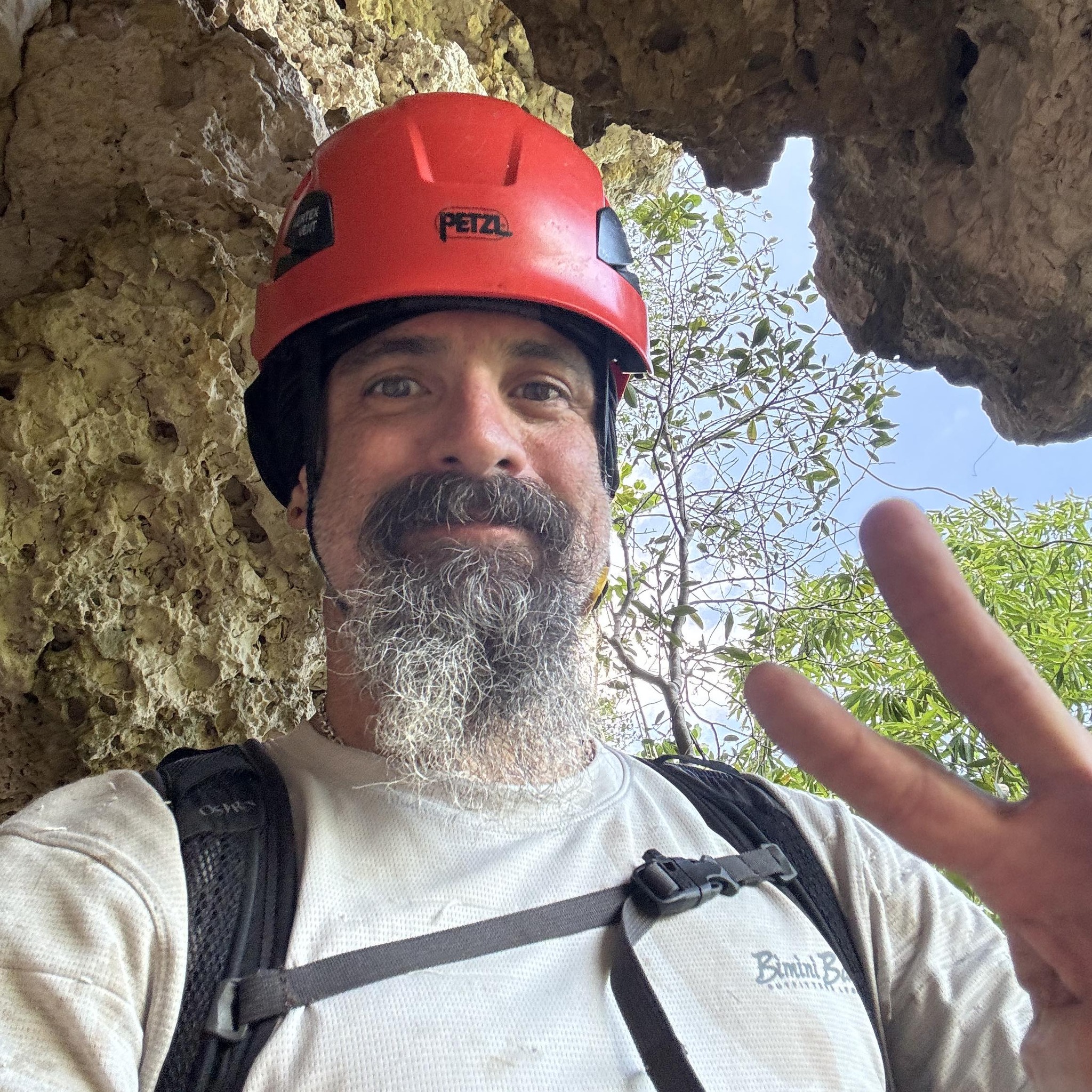 Plantas en Puerto Rico / Plants in Puerto Rico | Ají Caballero ...