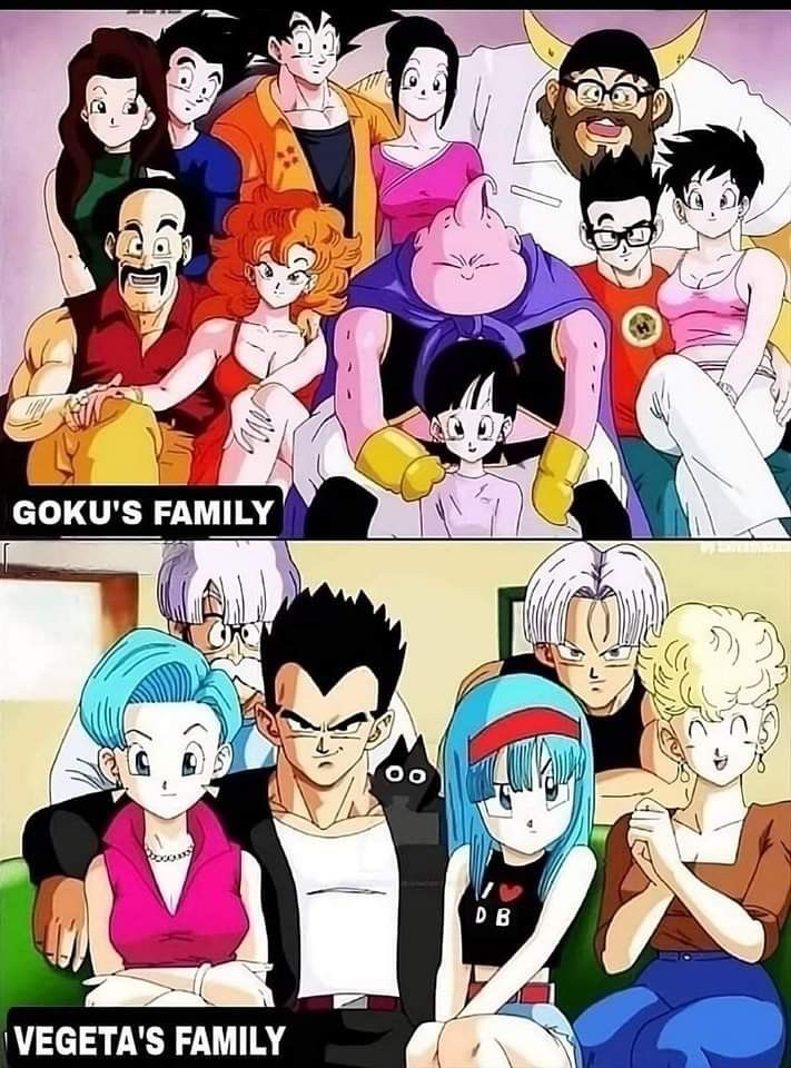 Can you name everyone in Goku's Dragon Ball Z family photo?