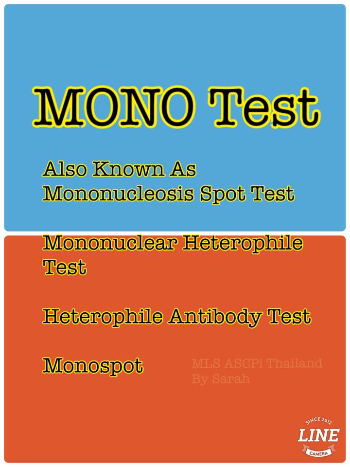 Mono test คืออะไร????... - MLS-ASCPi ThailandbySara | Facebook