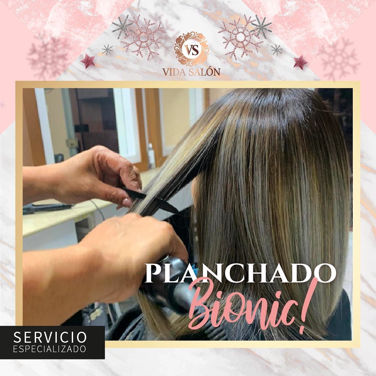 Vida salon