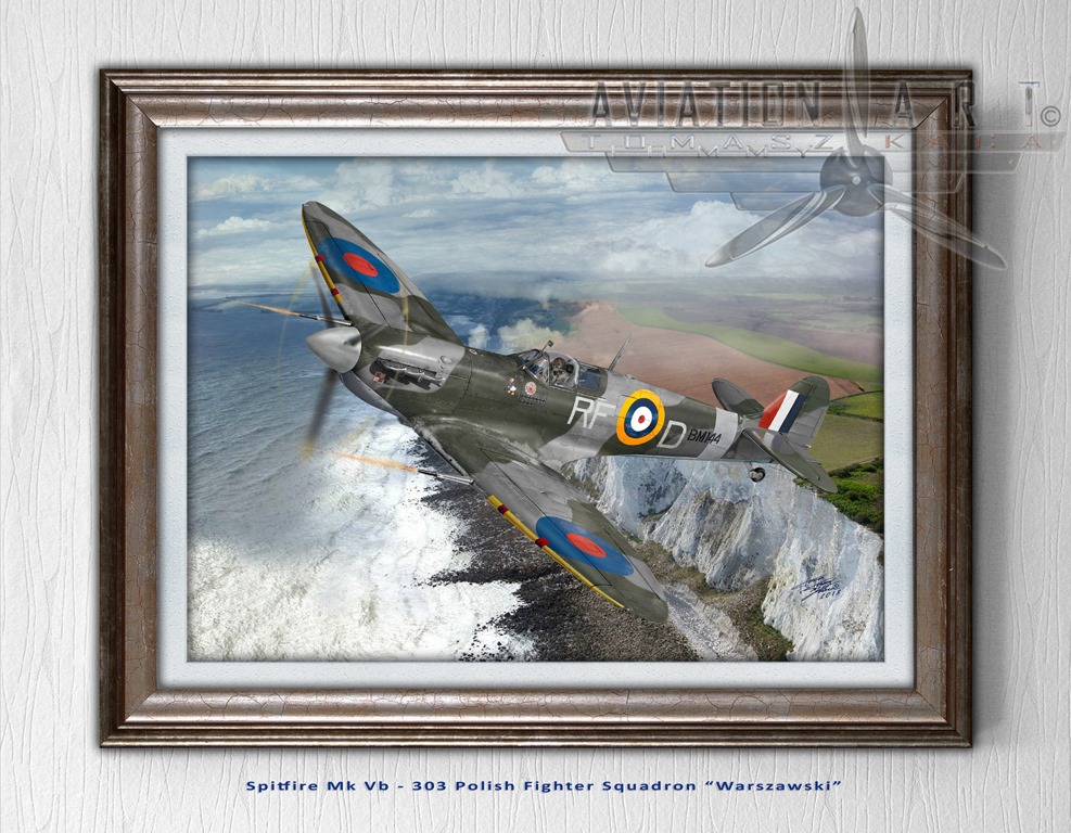 Aviation Art TTK - Spitfire Mk. Vb fighter plane, piloted by F/Lt Jan ...