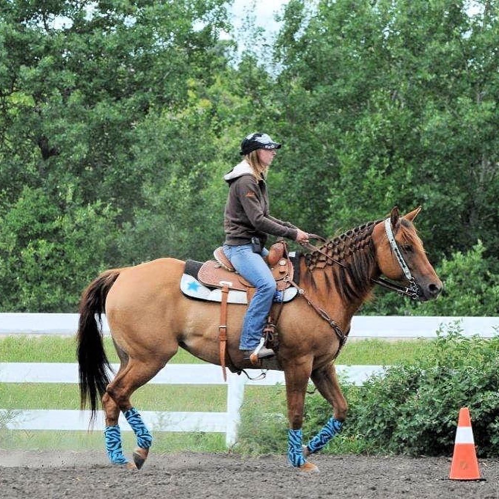 BPC 157 for horses: benefits and safe use guidelines