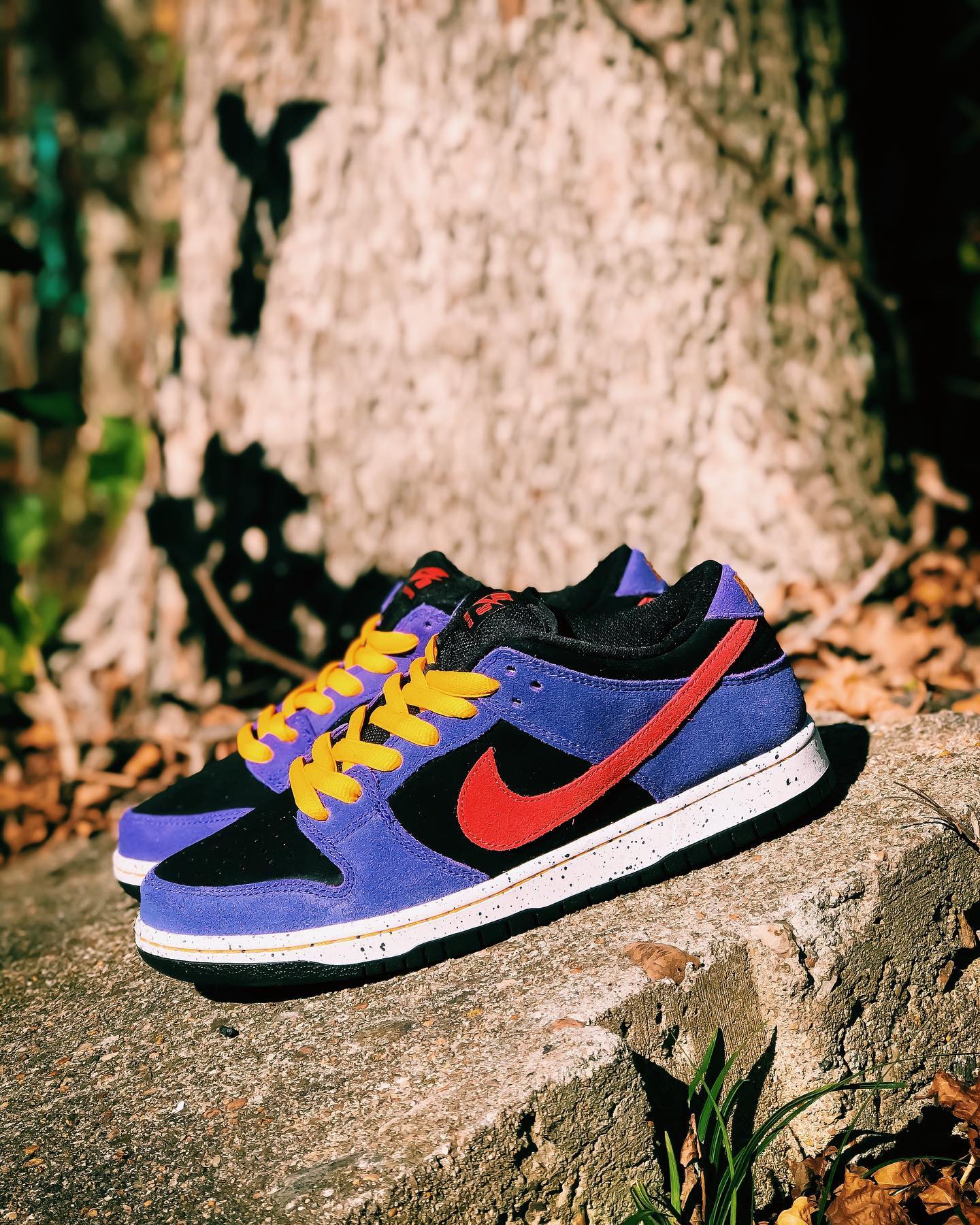 ❌ SOLD OUT ❌ THE NIKE SB 