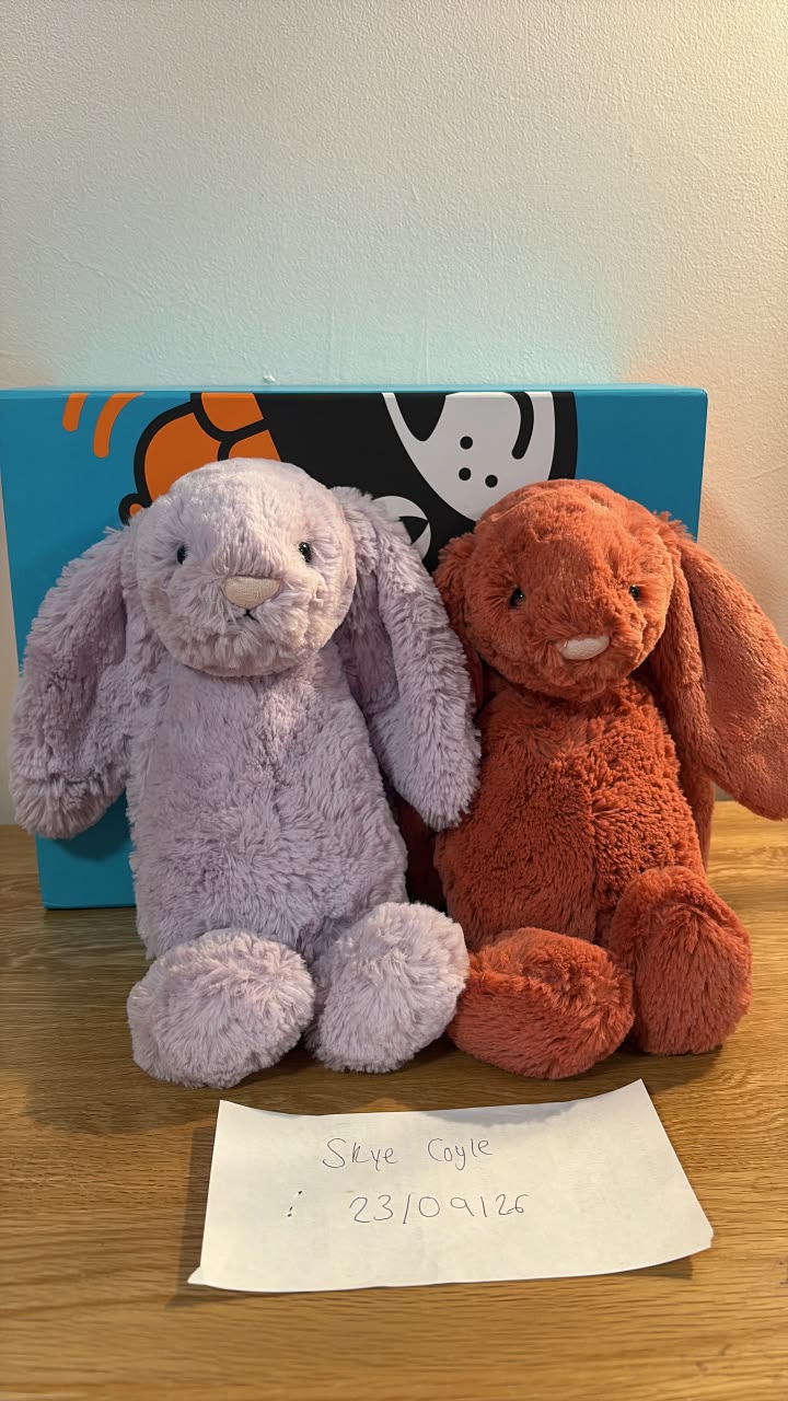 Jellycat bashful bunny prices: Hyacinth and Cinnamon editions