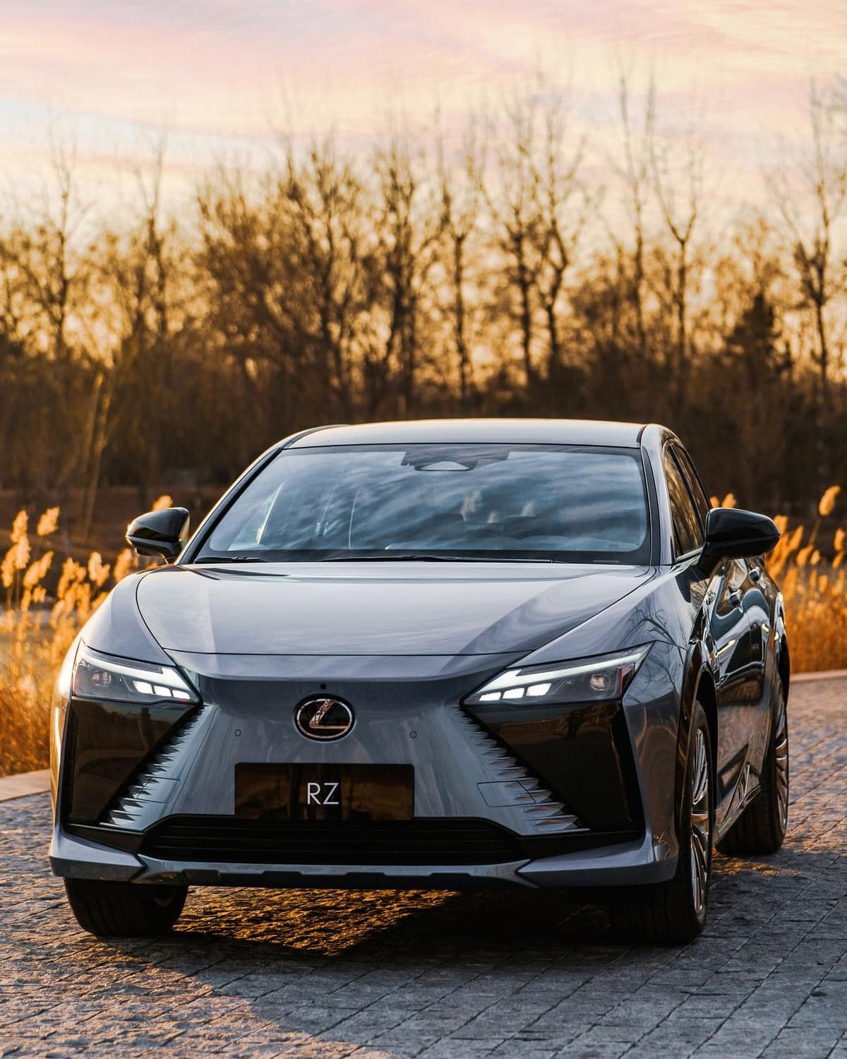 กำลังแรงสุด 308 แรงม้า💥ด้วยมอเตอร์... - Lexus Pro Thailand