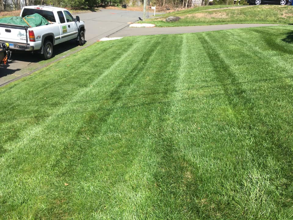 Grassbusters Landscaping LLC | Bristol CT