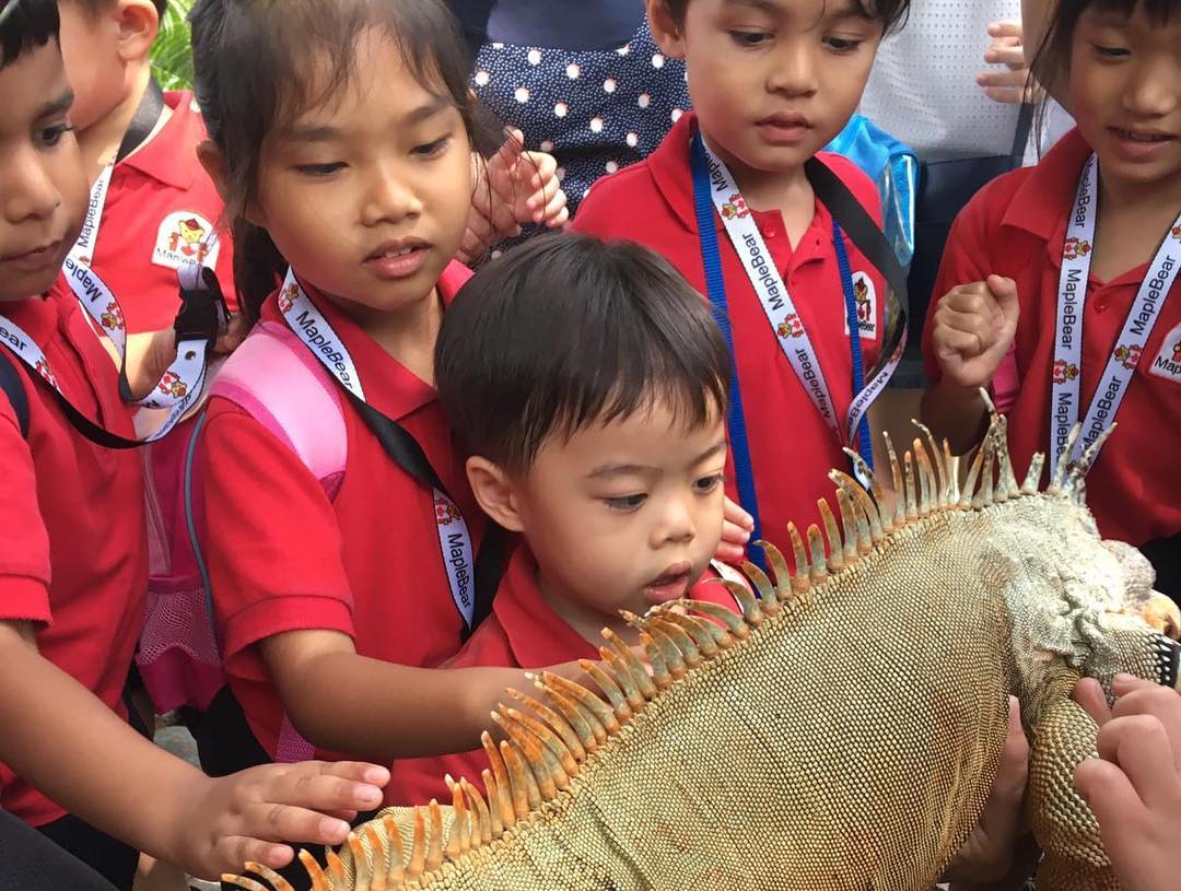 A visit to the Butterfly & Insect... - MapleBear Sembawang