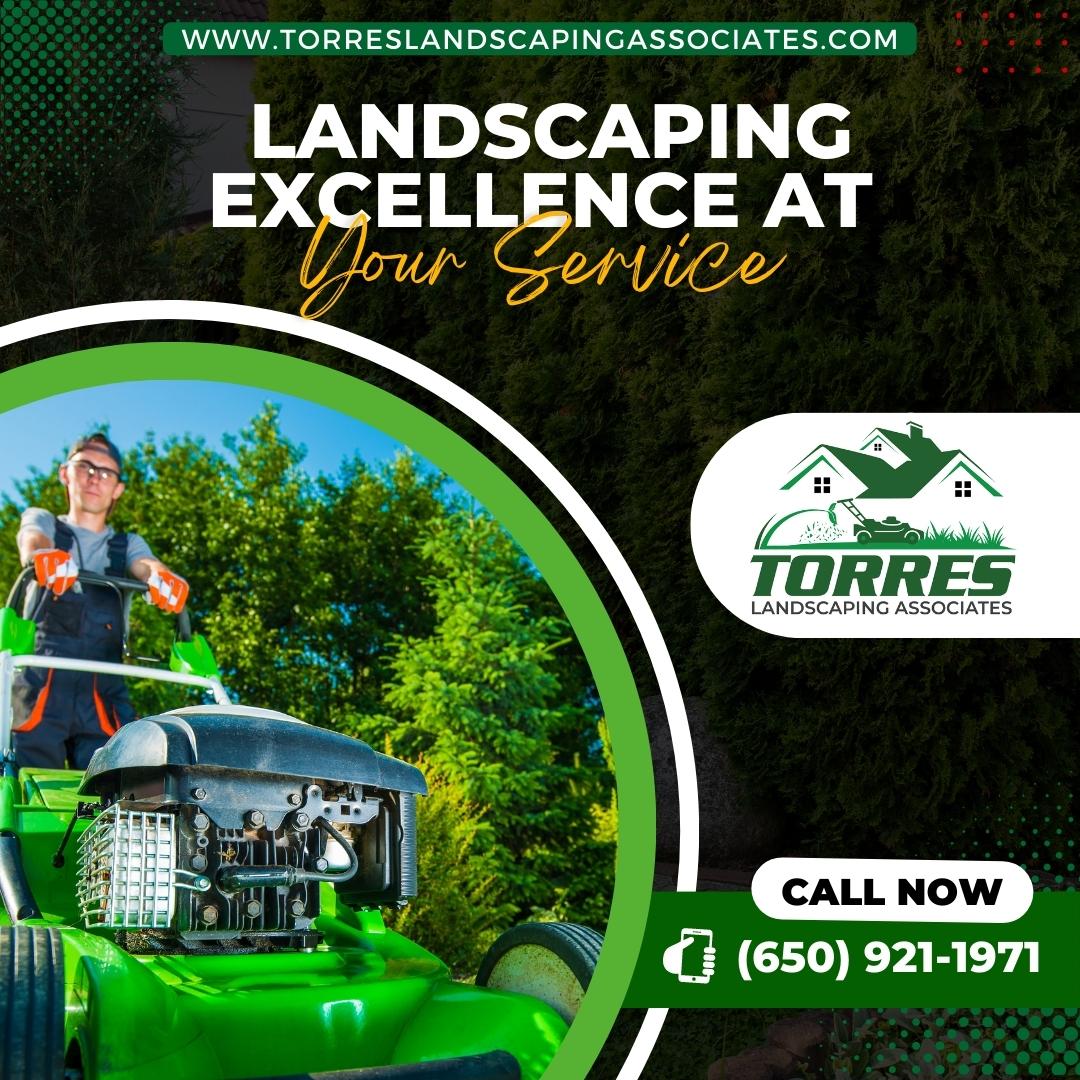 Torres Landscaping | San Mateo CA