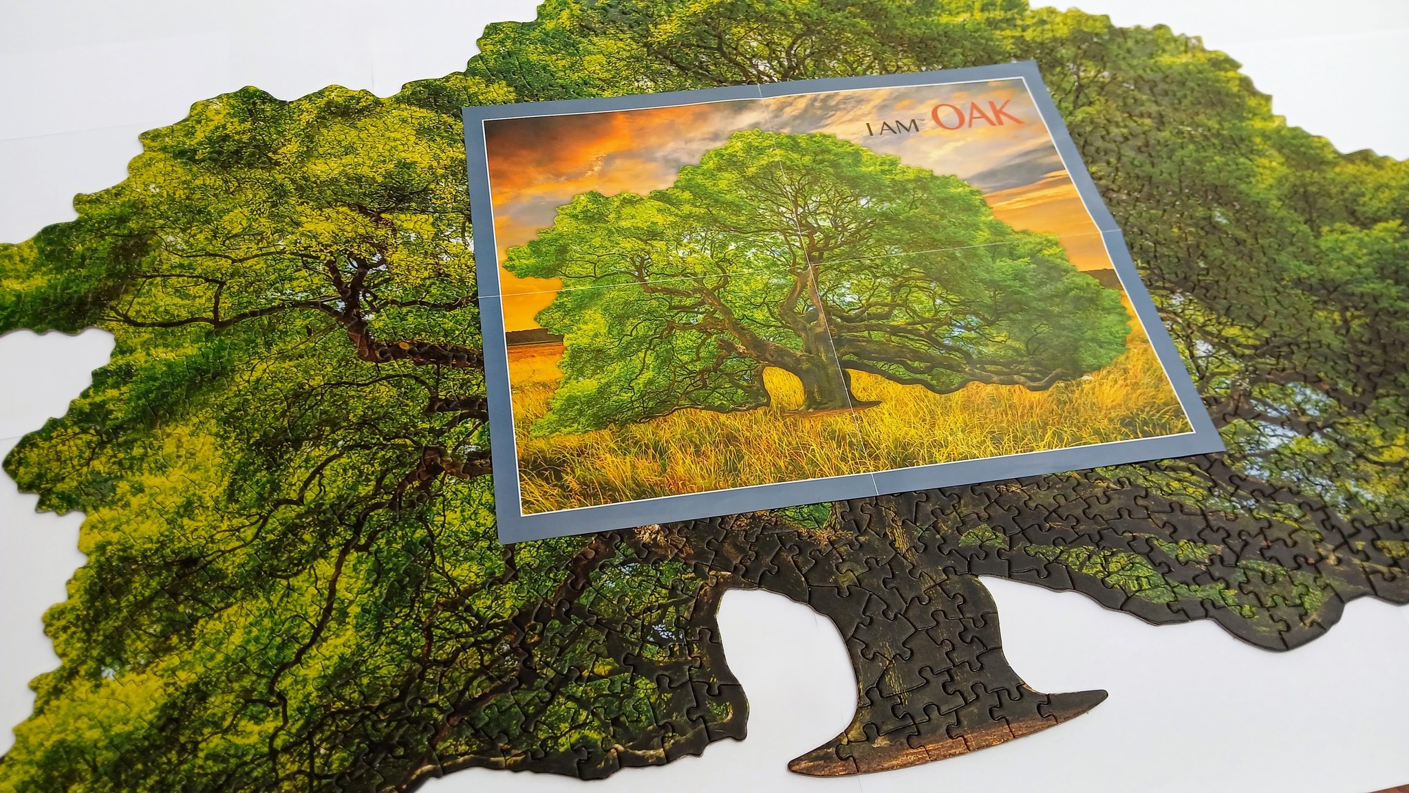 Moneta D'oro A Forma Di Albero Di Natale Da 1/1000 Oz In Carta Orna Da 1 Samoa 2025 8000010147162