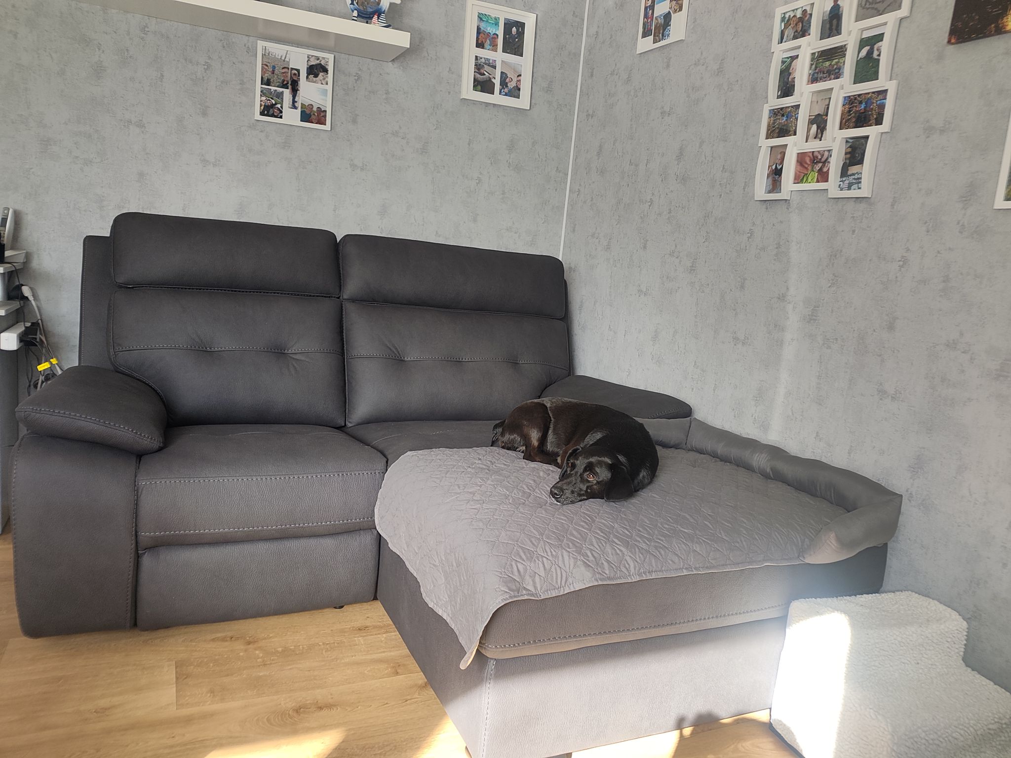 Hat hier auch jemand die Couch mit dem Kühlschrank gekauft??? Also das Element muss man ja nicht nehmen aber mir fällt der Name nicht ein