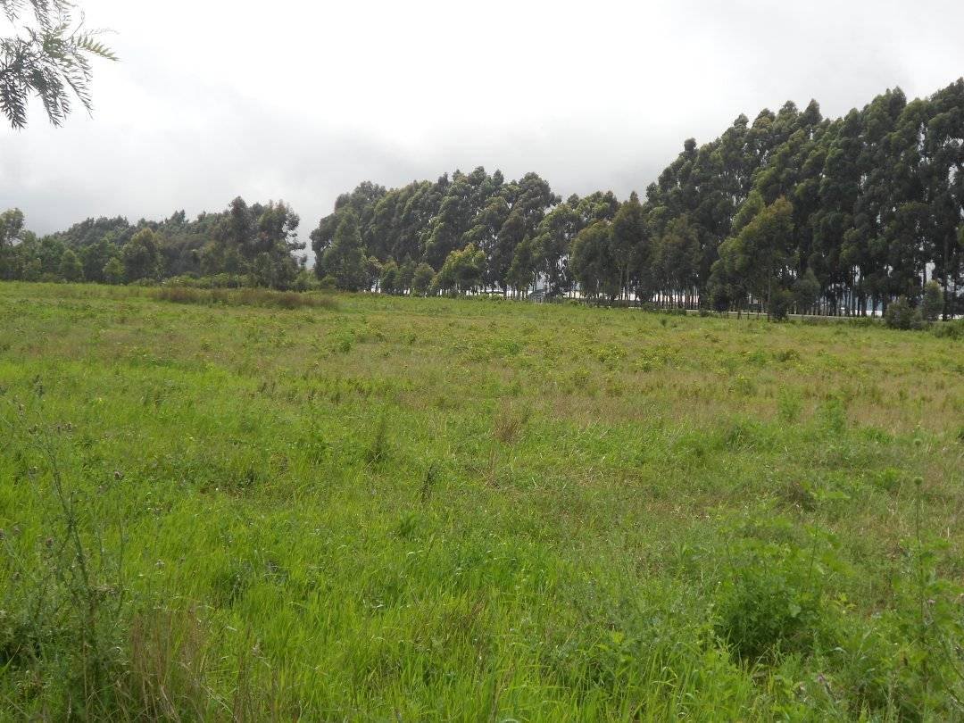 6 Acres Land for sale at Timau. It... - Nanyuki Properties | Facebook