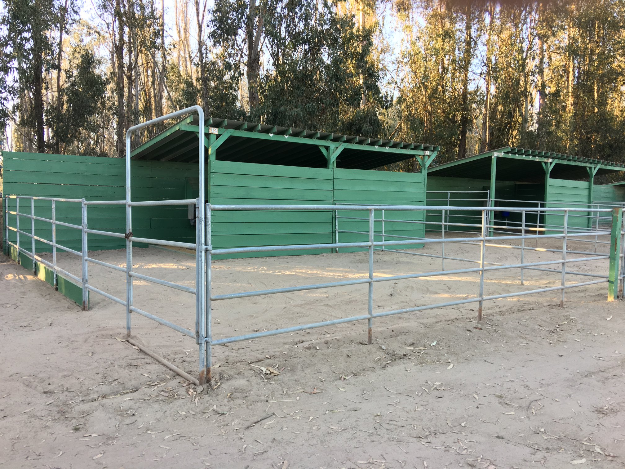 Triple D Ranch | Arroyo Grande CA