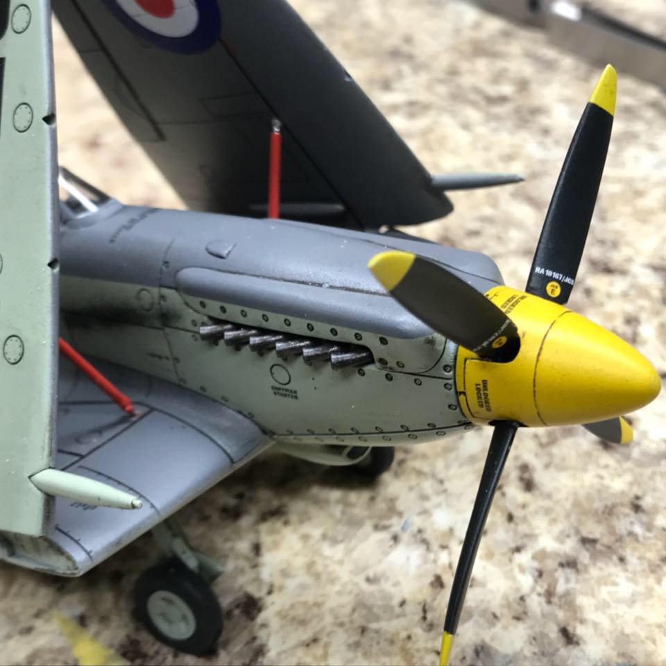 Plastic Modeling Answers added... - Plastic Modeling Answers